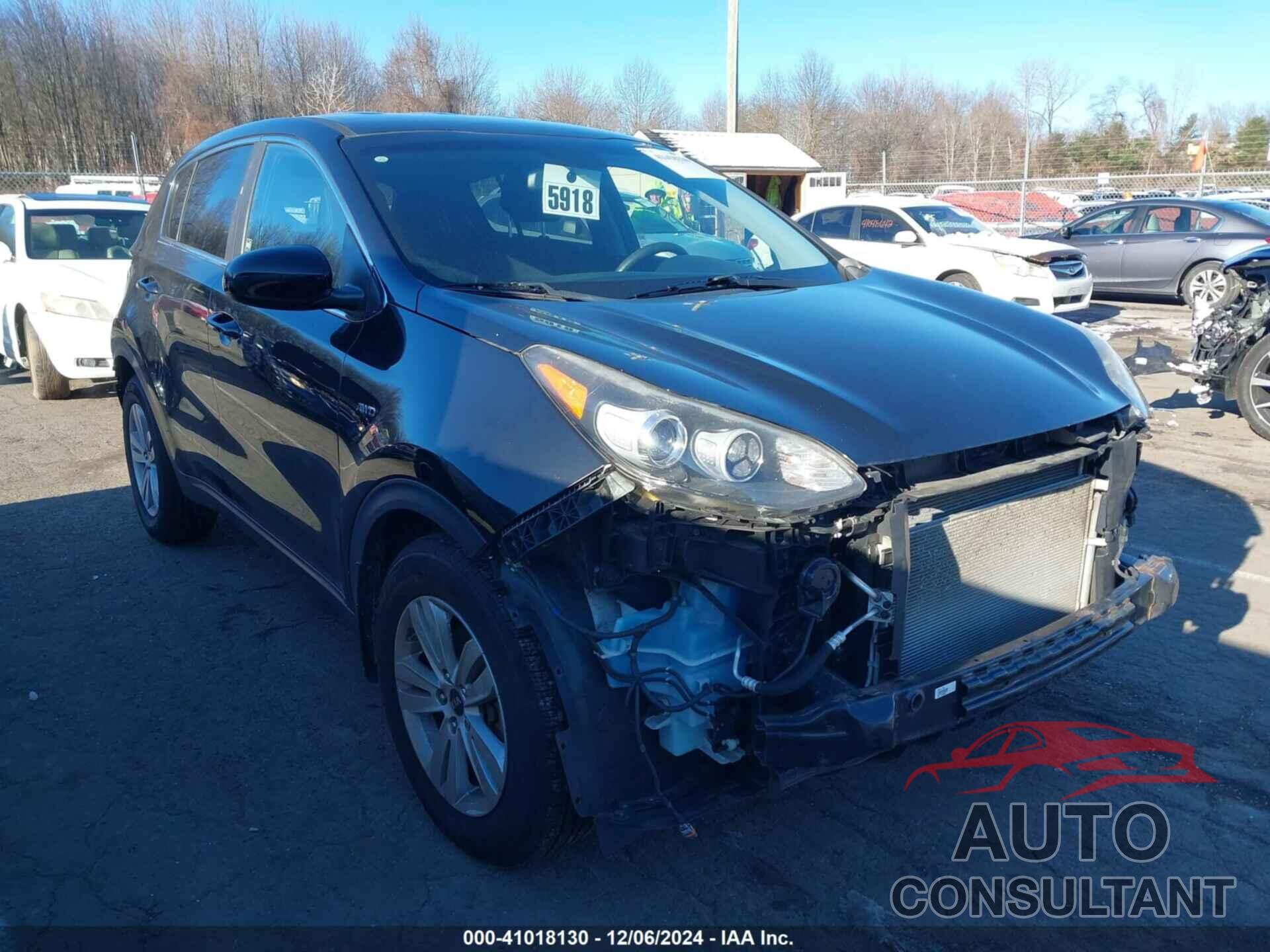 KIA SPORTAGE 2017 - KNDPMCAC4H7191888