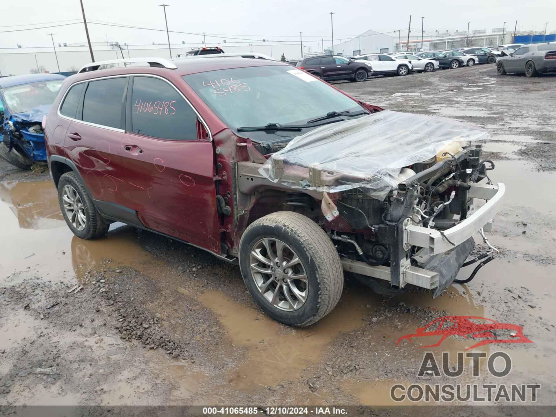 JEEP CHEROKEE 2019 - 1C4PJMLB1KD106016