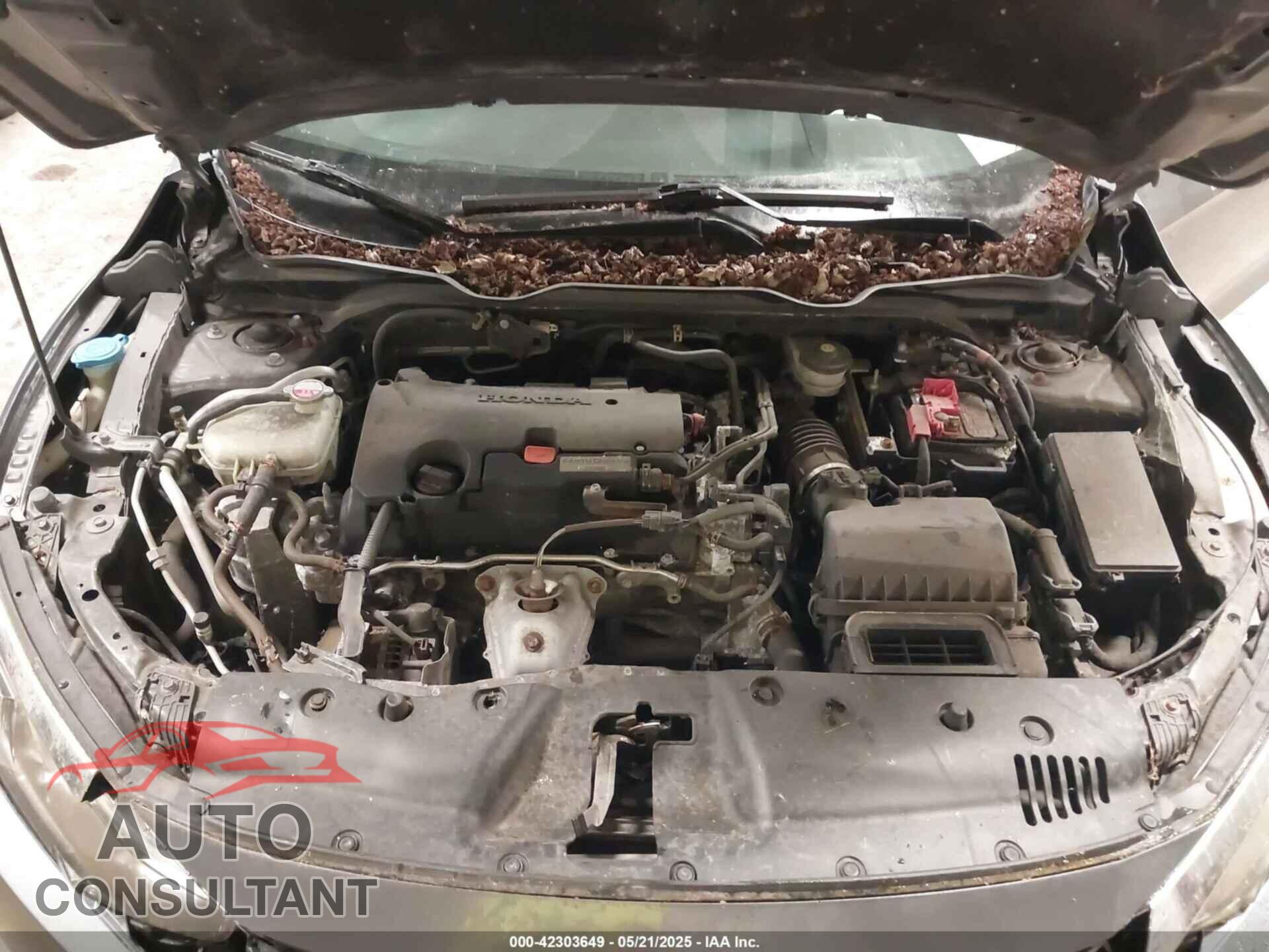 HONDA CIVIC 2017 - 2HGFC4B55HH307724