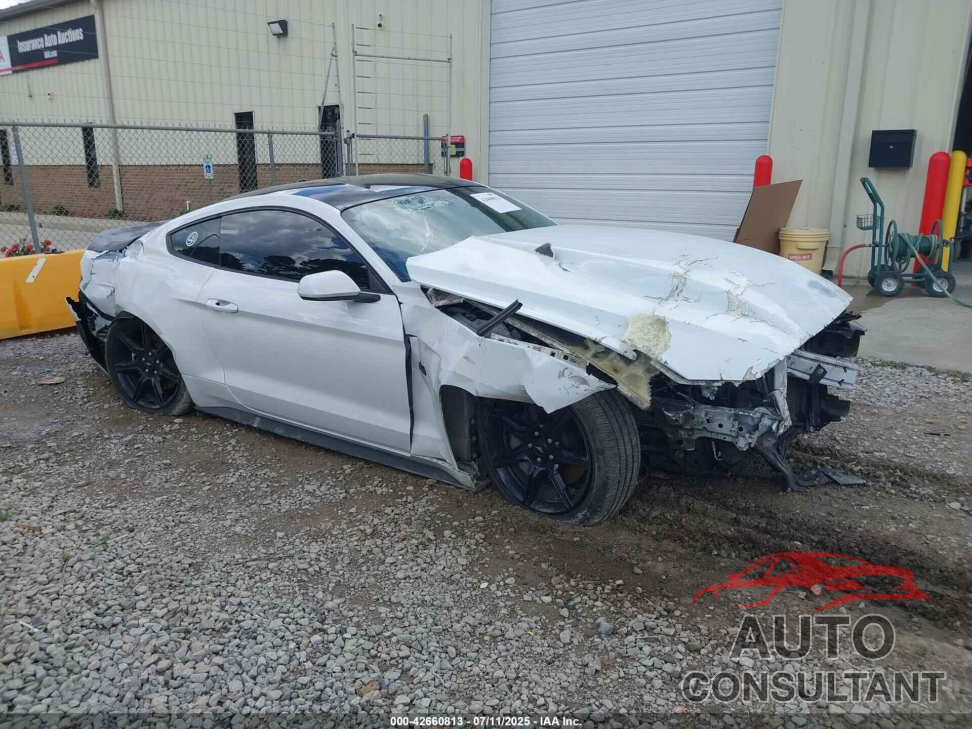 FORD MUSTANG 2019 - 1FA6P8CF5K5199790