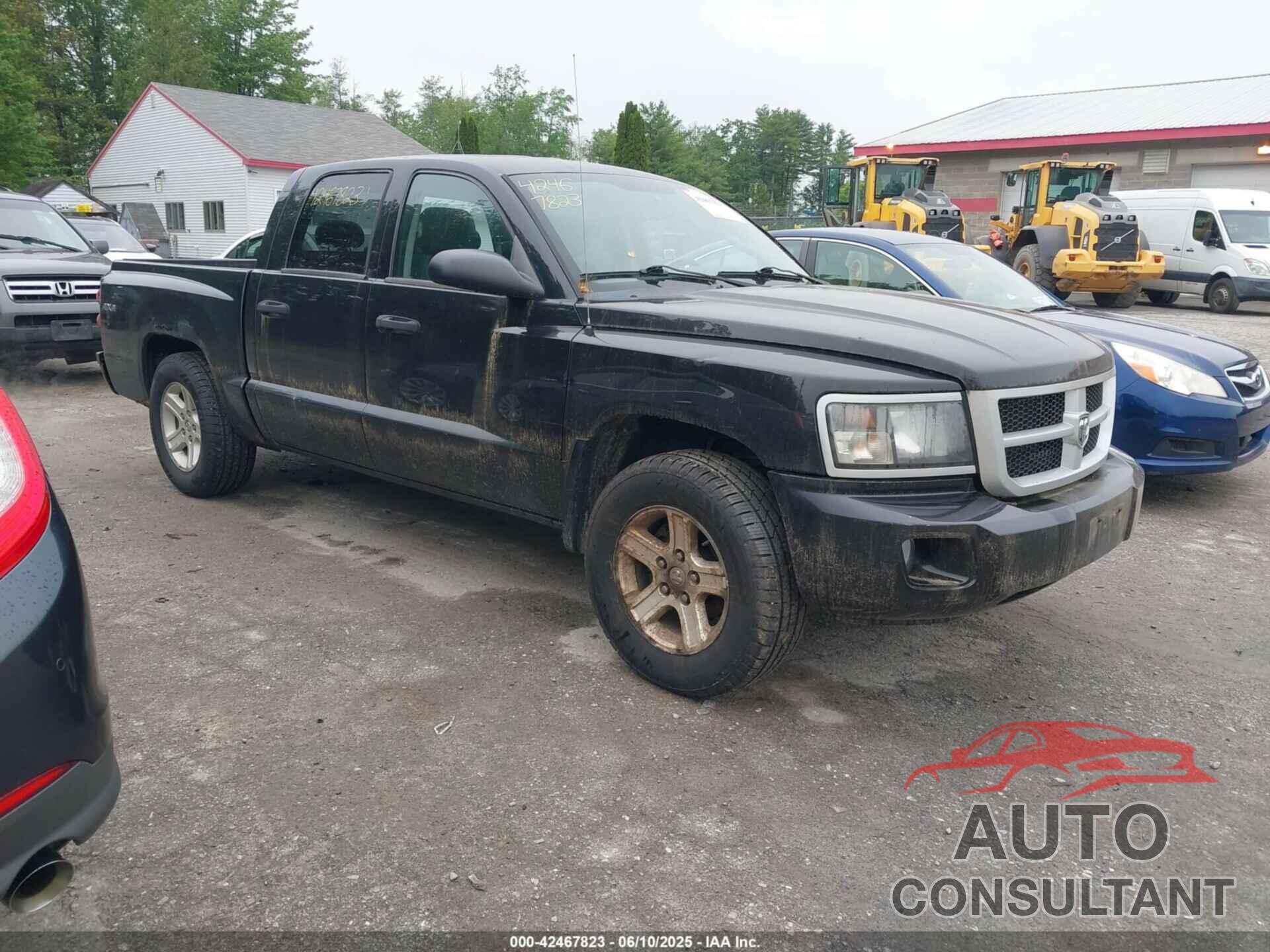 DODGE DAKOTA 2010 - 1D7CW3GK8AS202813