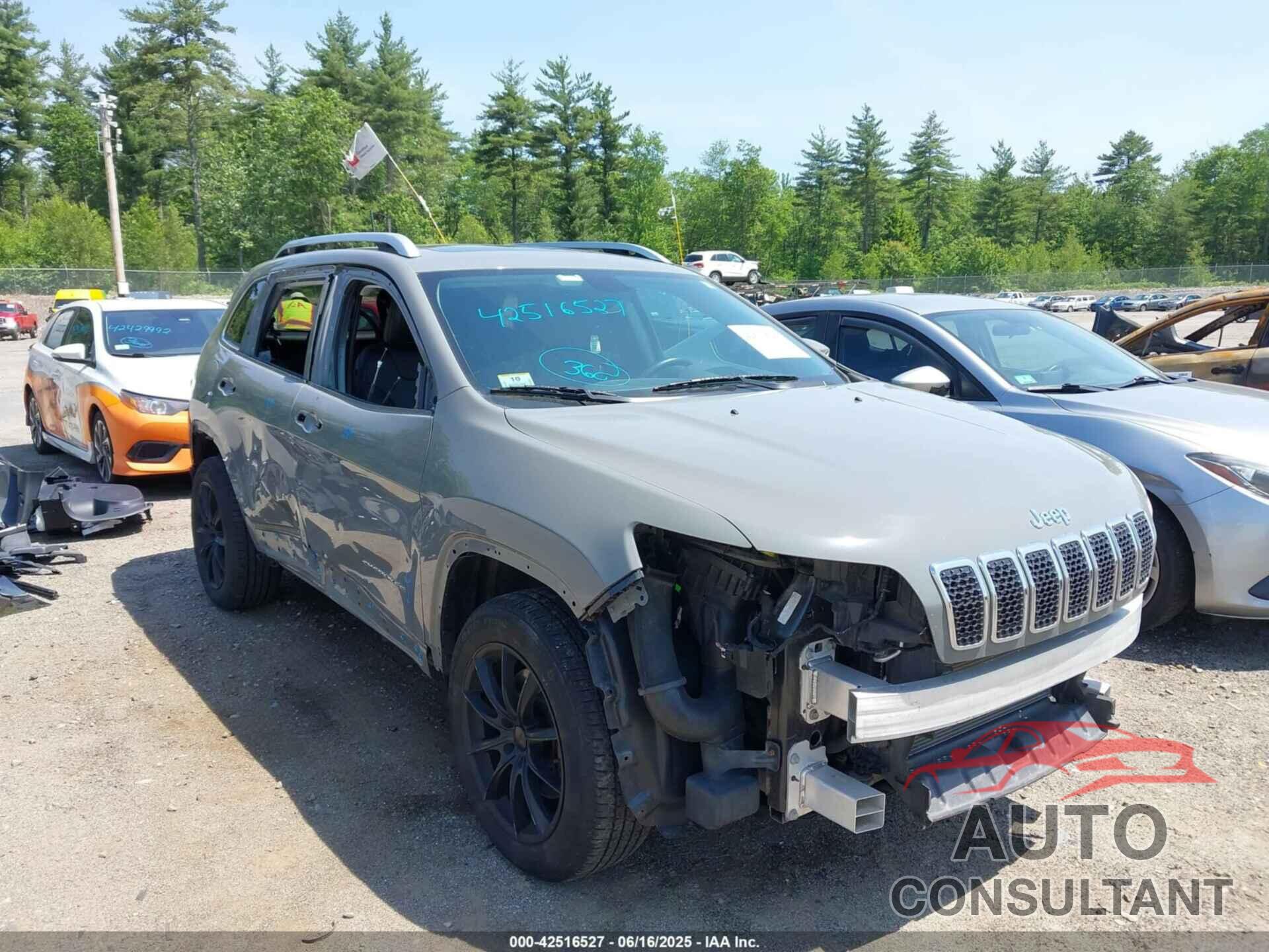 JEEP CHEROKEE 2019 - 1C4PJMDN5KD408546