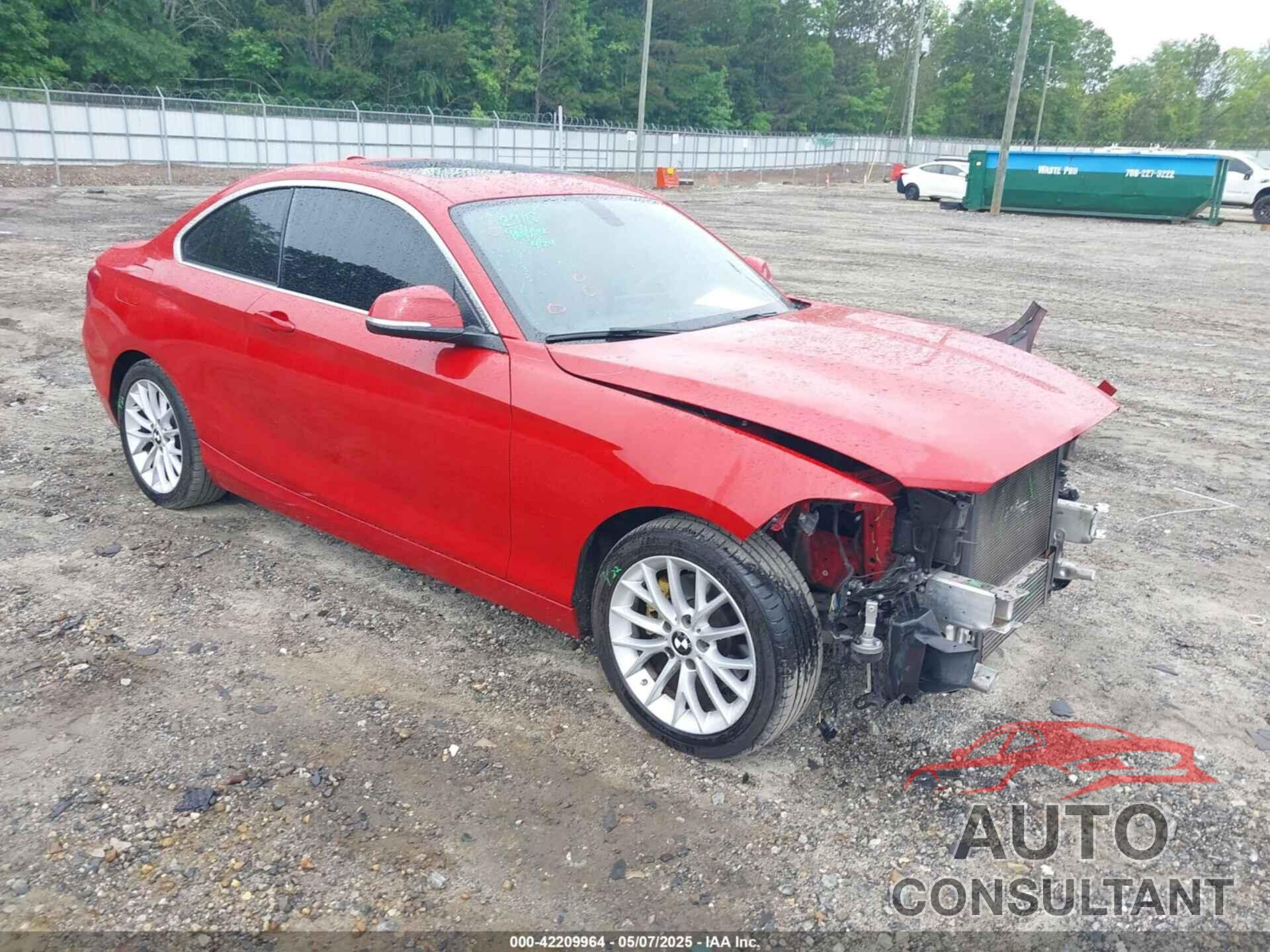 BMW 228I 2016 - WBA1F9C54GV742703