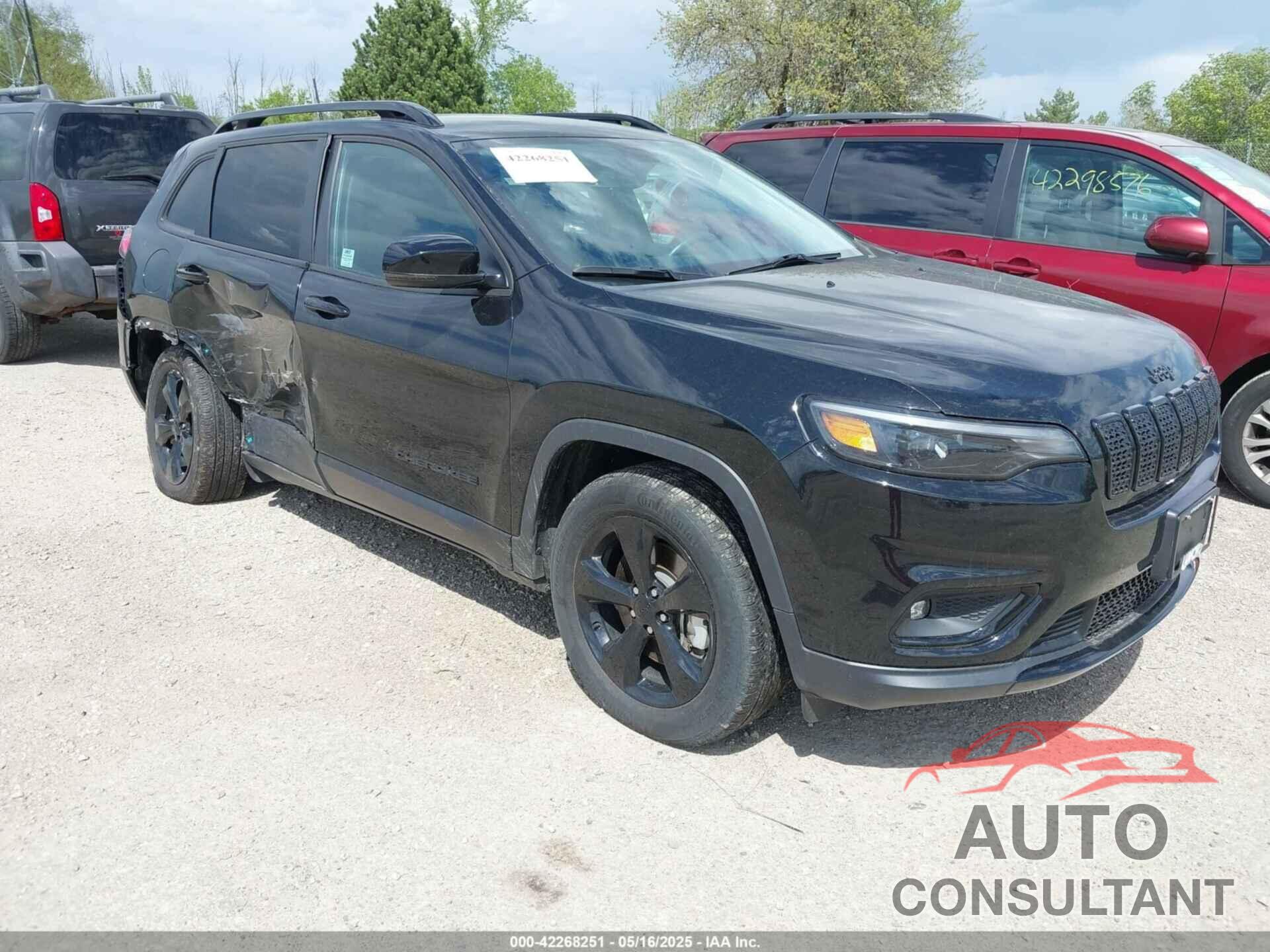 JEEP CHEROKEE 2019 - 1C4PJMLX3KD382922