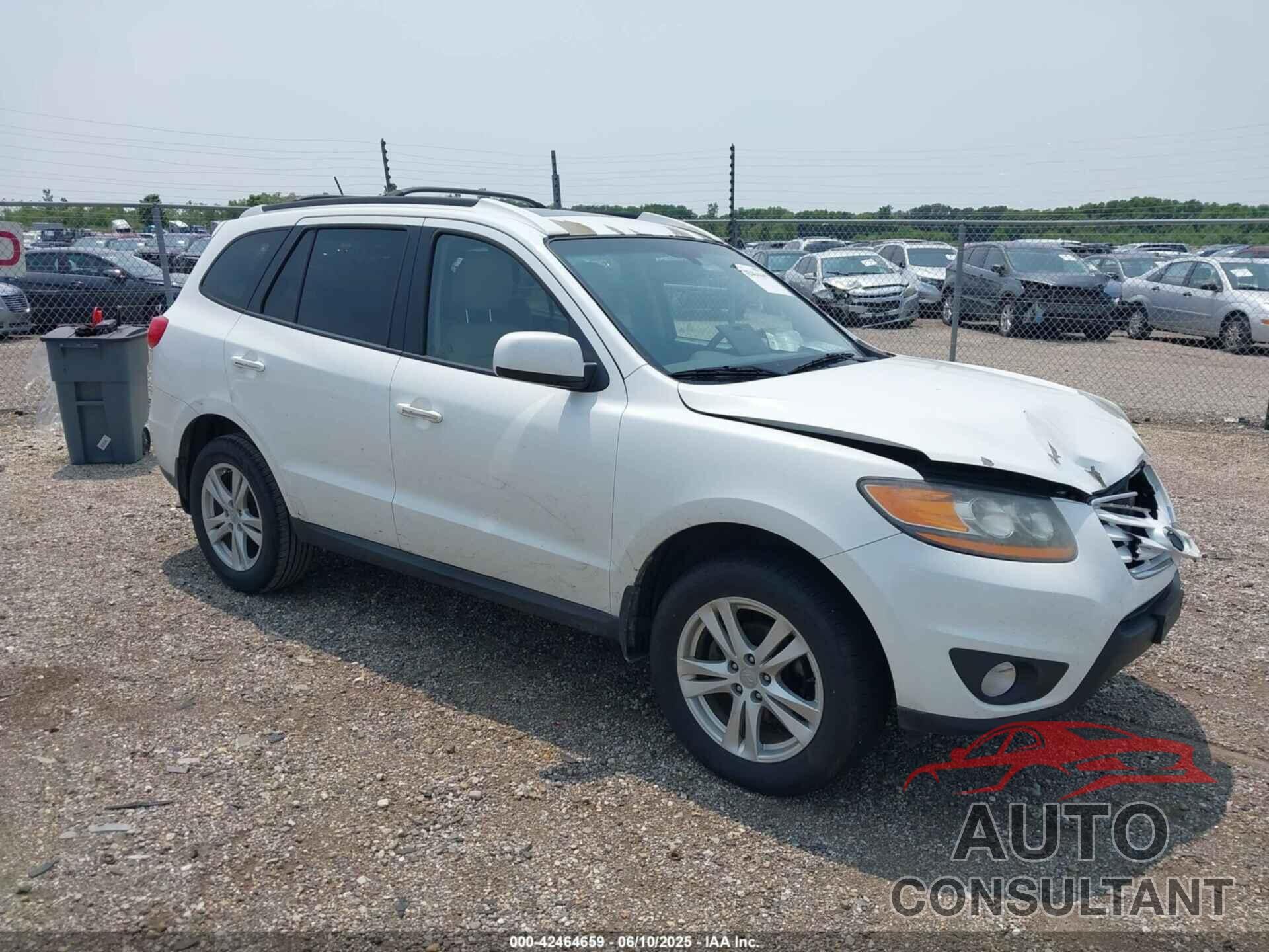 HYUNDAI SANTA FE 2010 - 5NMSK3AB3AH392655