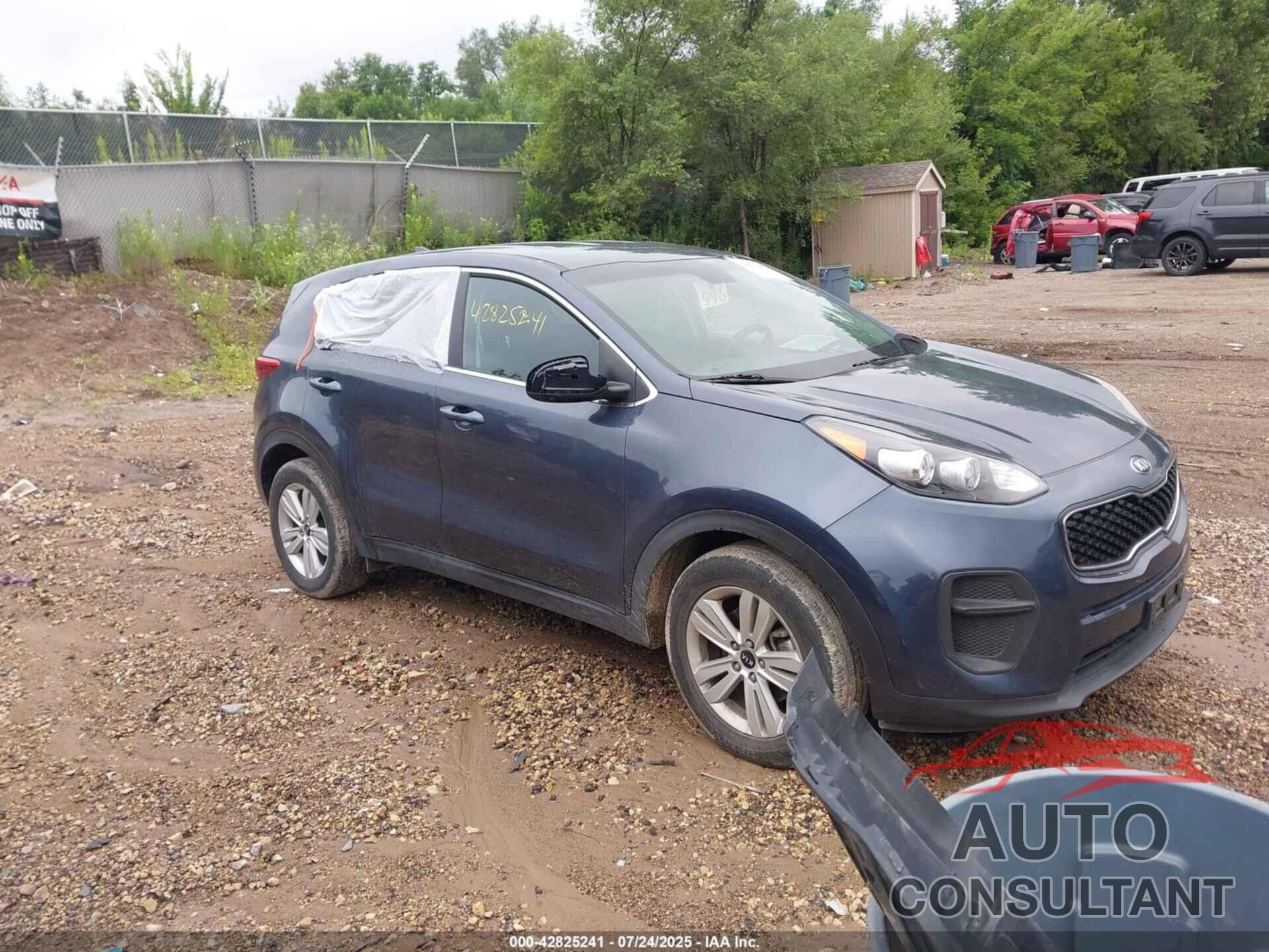 KIA SPORTAGE 2017 - KNDPM3ACXH7157275