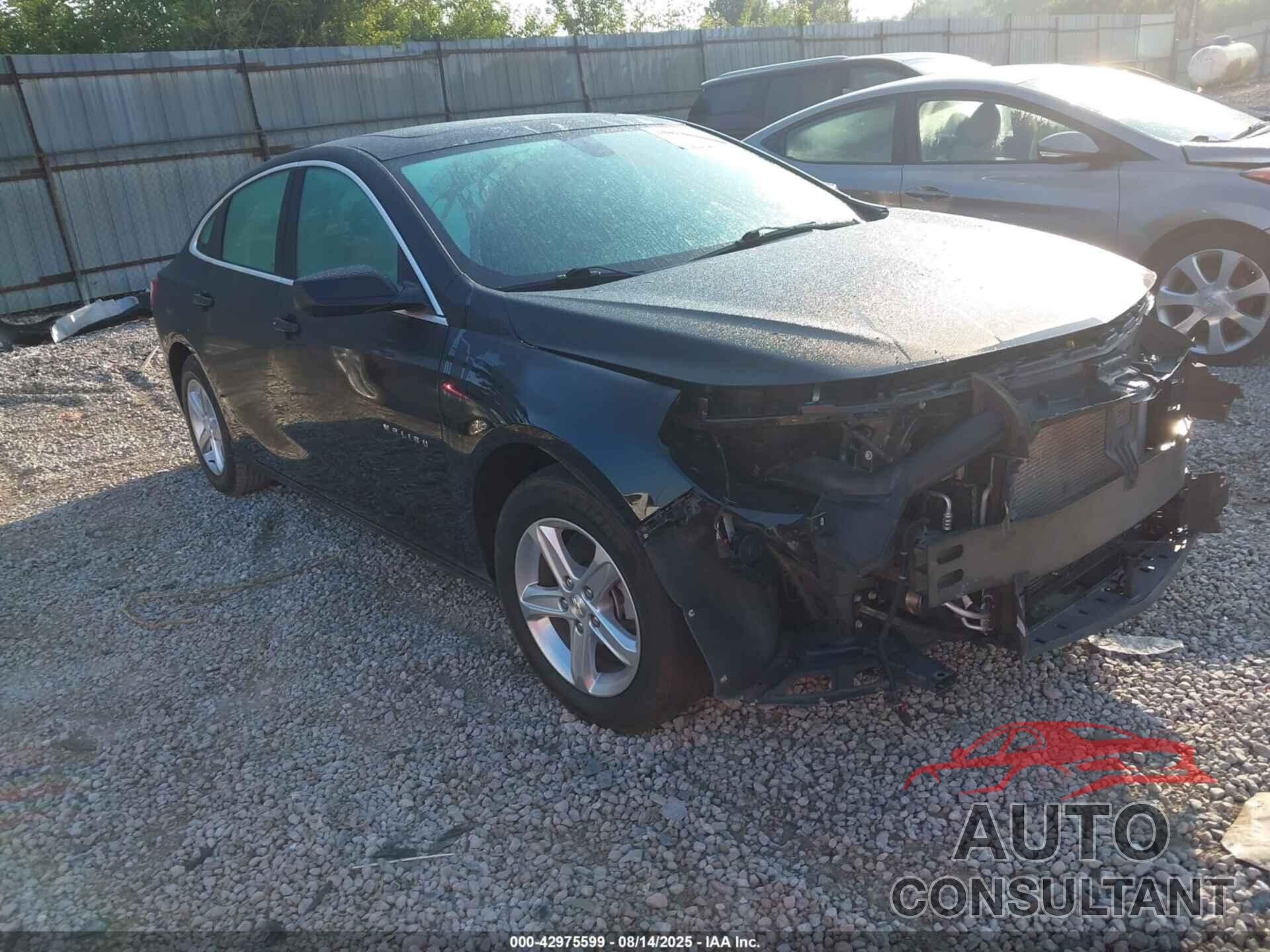 CHEVROLET MALIBU 2022 - 1G1ZD5STXNF172422