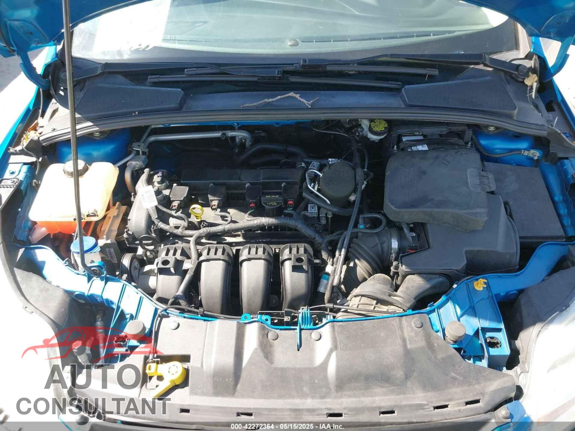 FORD FOCUS 2013 - 1FADP3F2XDL178239