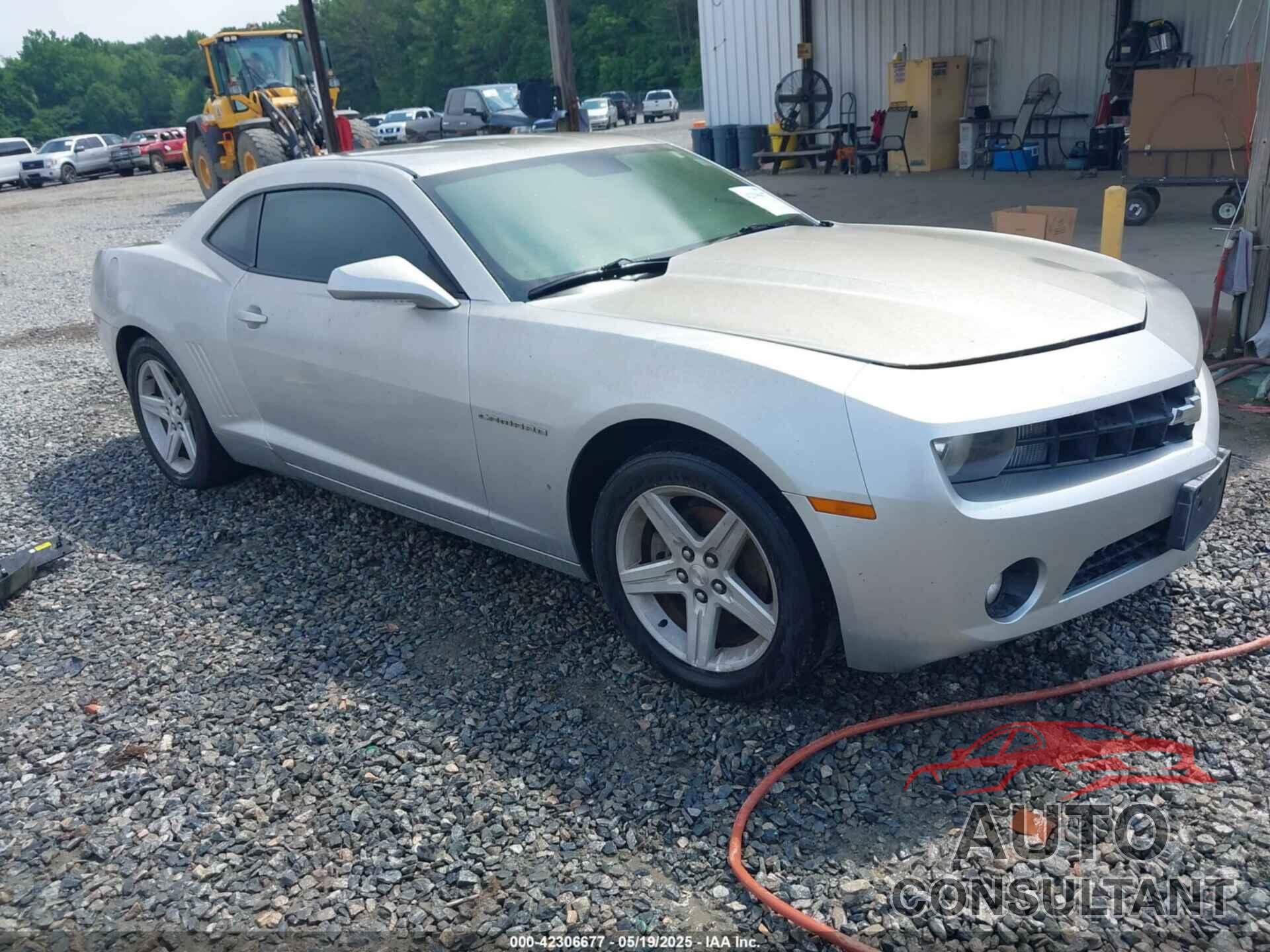 CHEVROLET CAMARO 2011 - 2G1FB1EDXB9103188