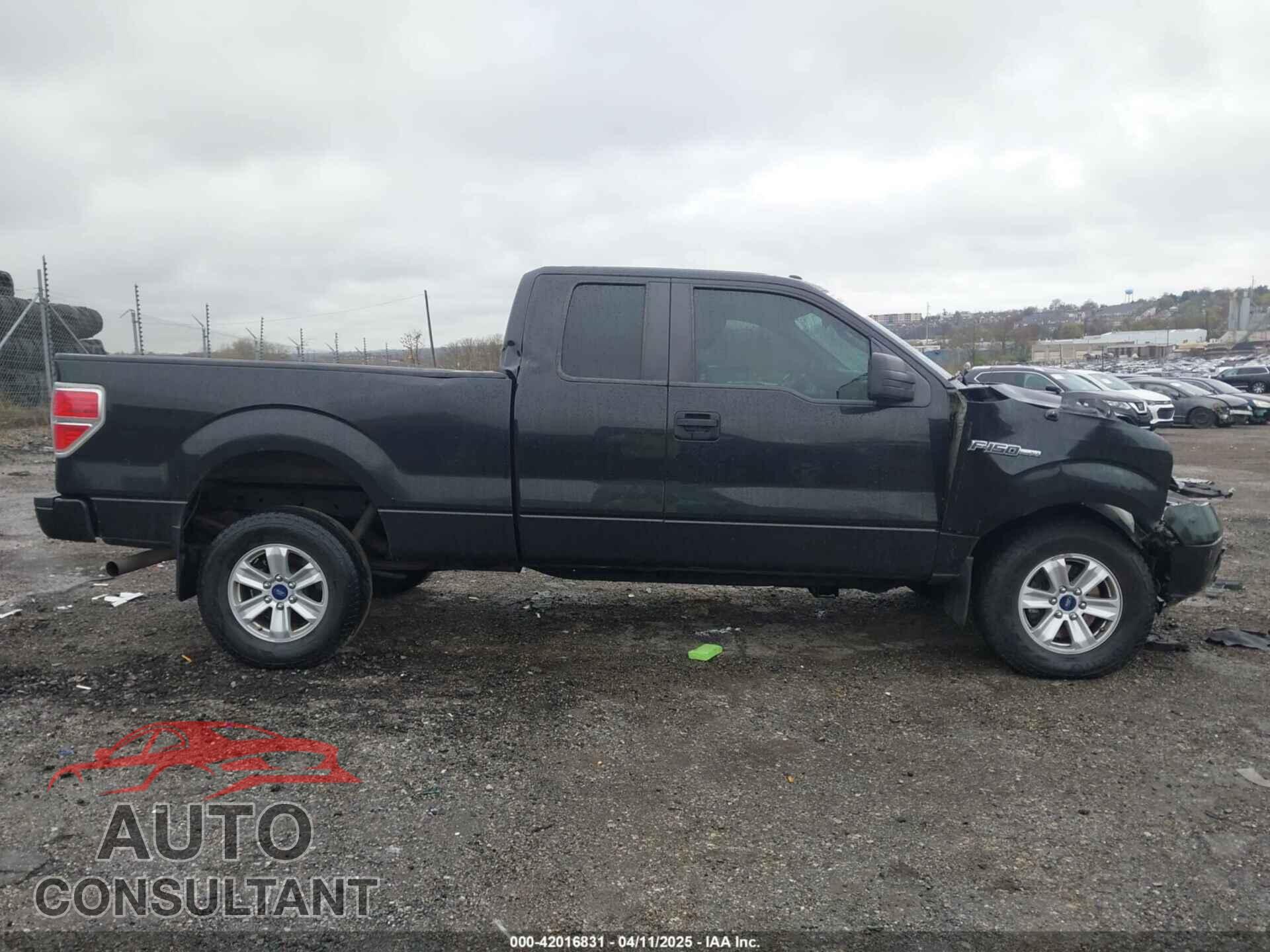 FORD F-150 2013 - 1FTFX1EF3DFD51982