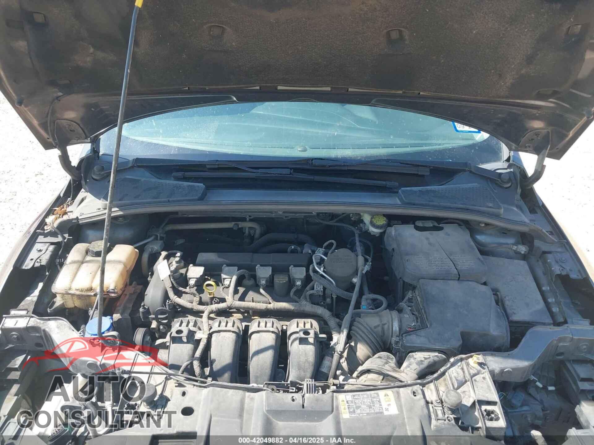 FORD FOCUS 2016 - 1FADP3F25GL212415