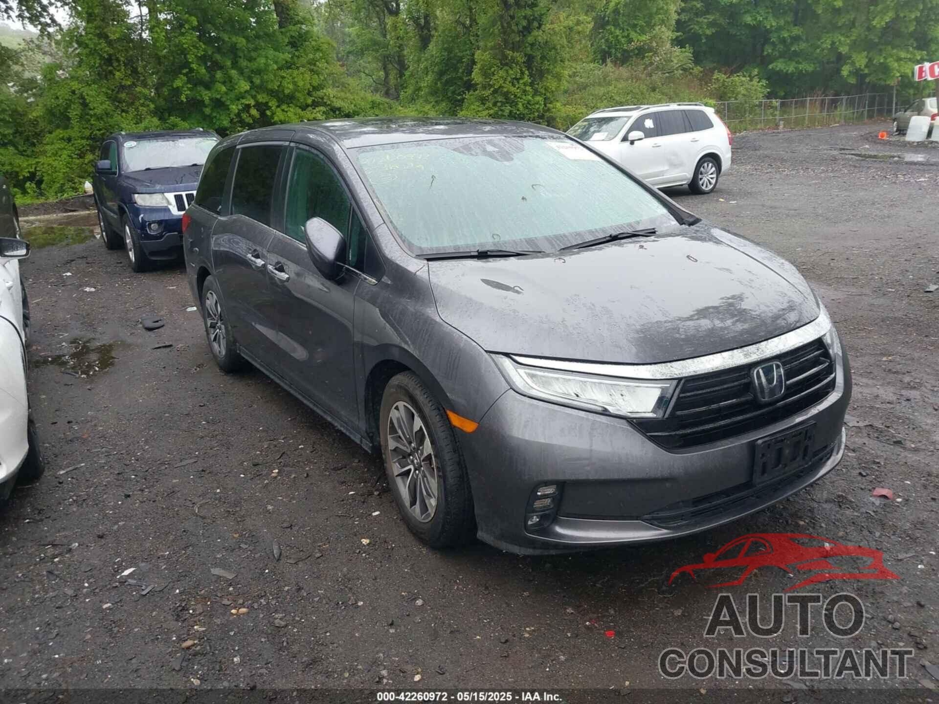 HONDA ODYSSEY 2022 - 5FNRL6H77NB018068