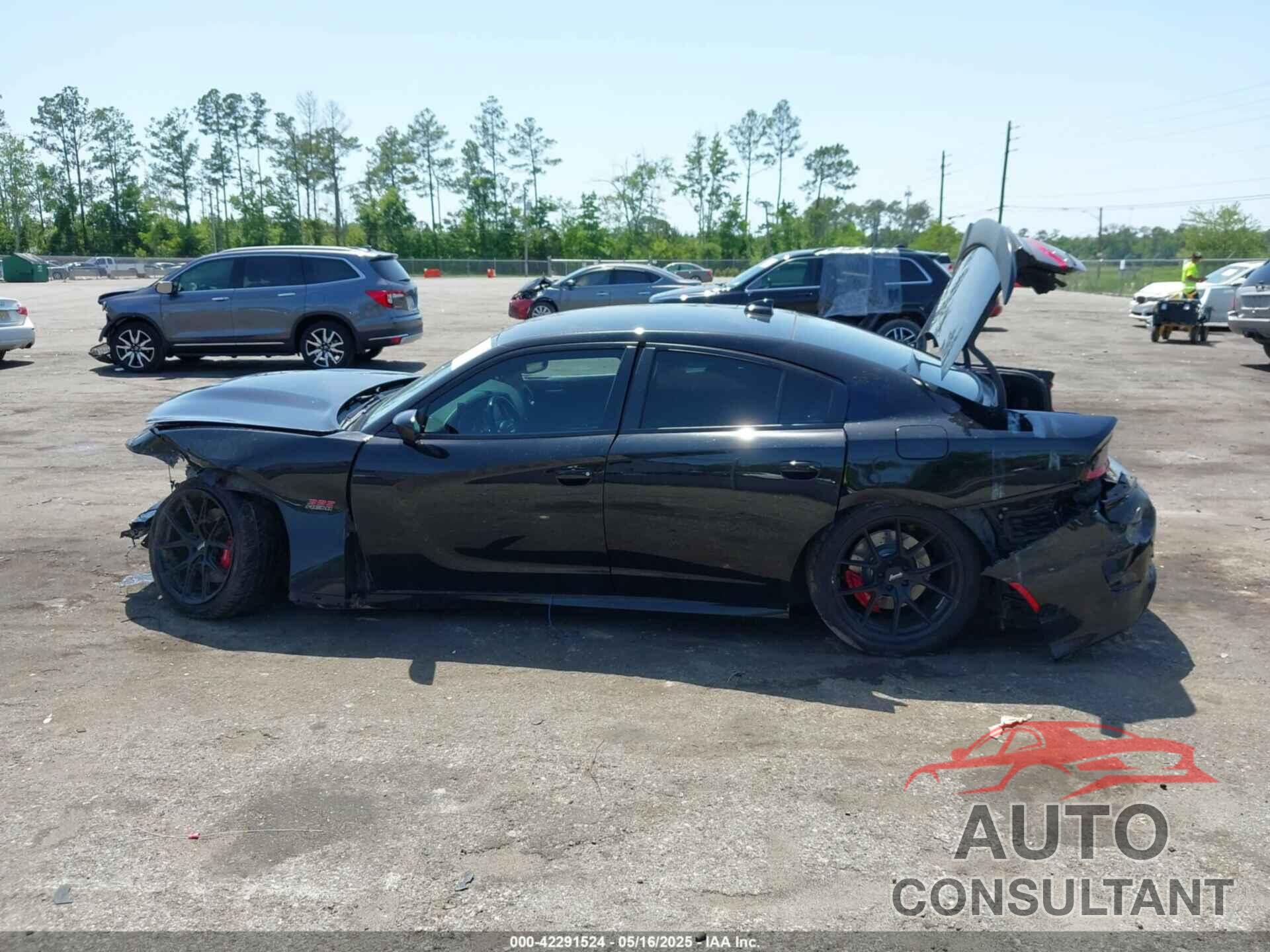 DODGE CHARGER 2017 - 2C3CDXGJ6HH607959