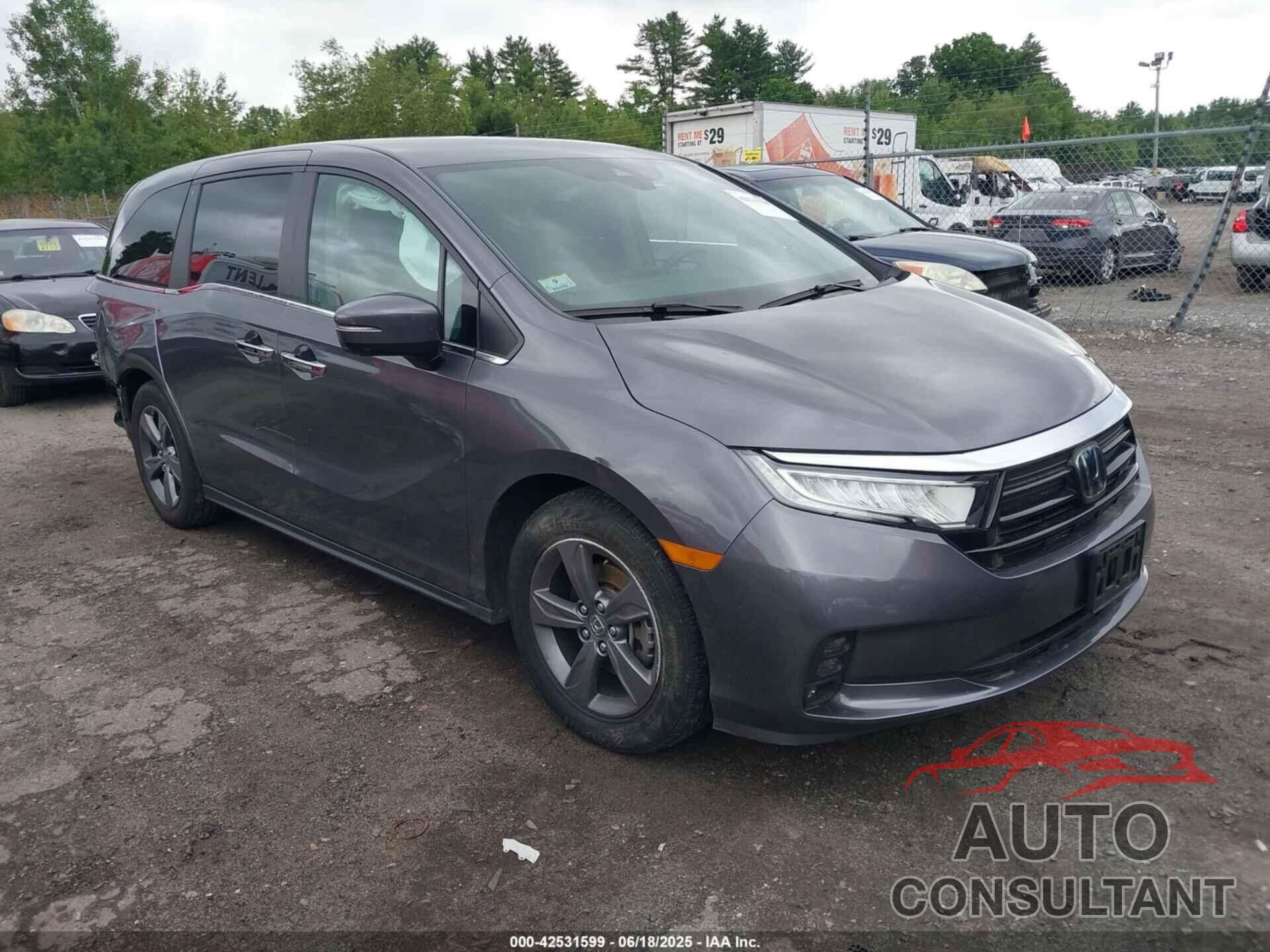 HONDA ODYSSEY 2024 - 5FNRL6H58RB074847