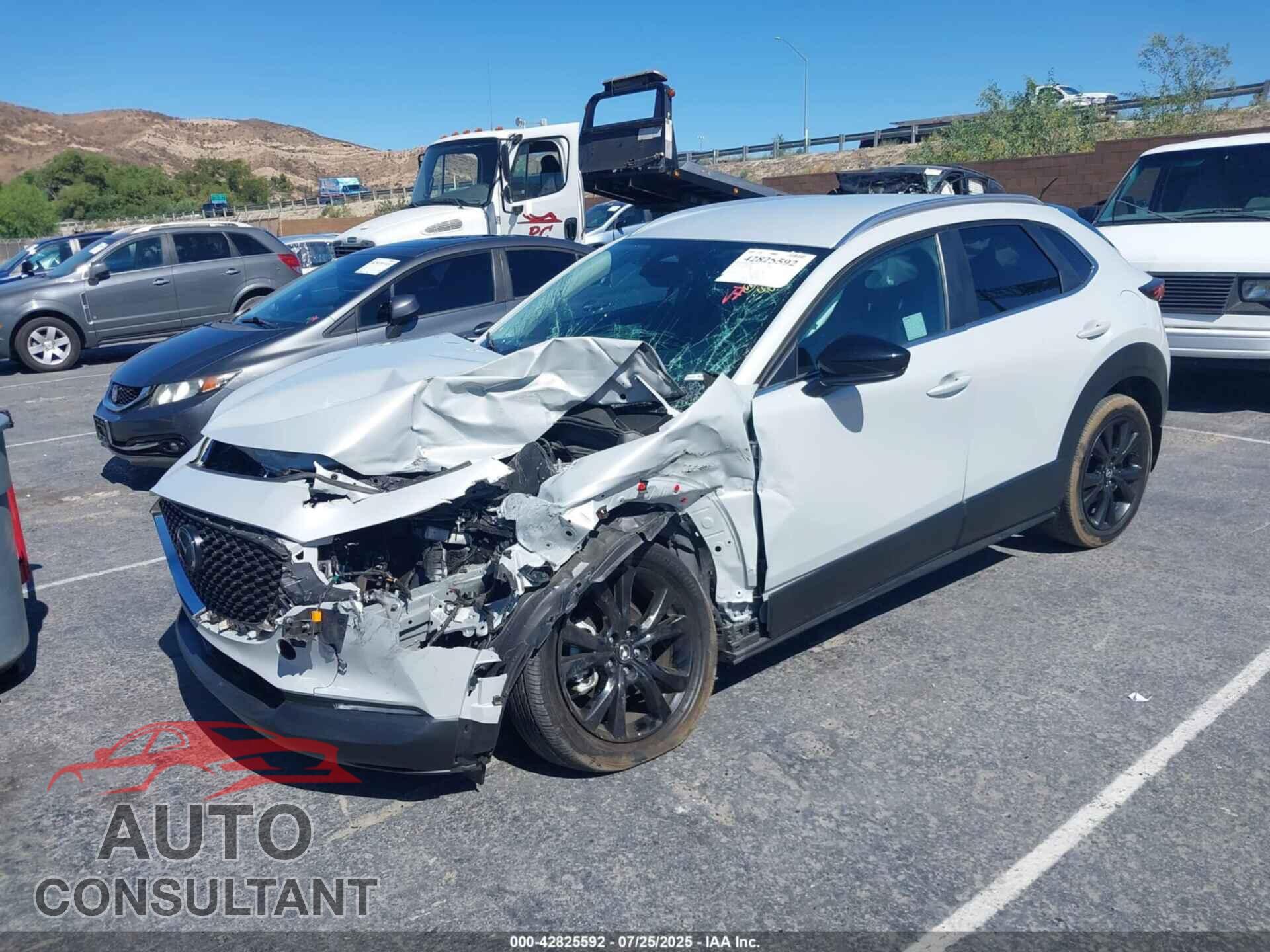 MAZDA CX-30 2025 - 3MVDMBBM2SM785461