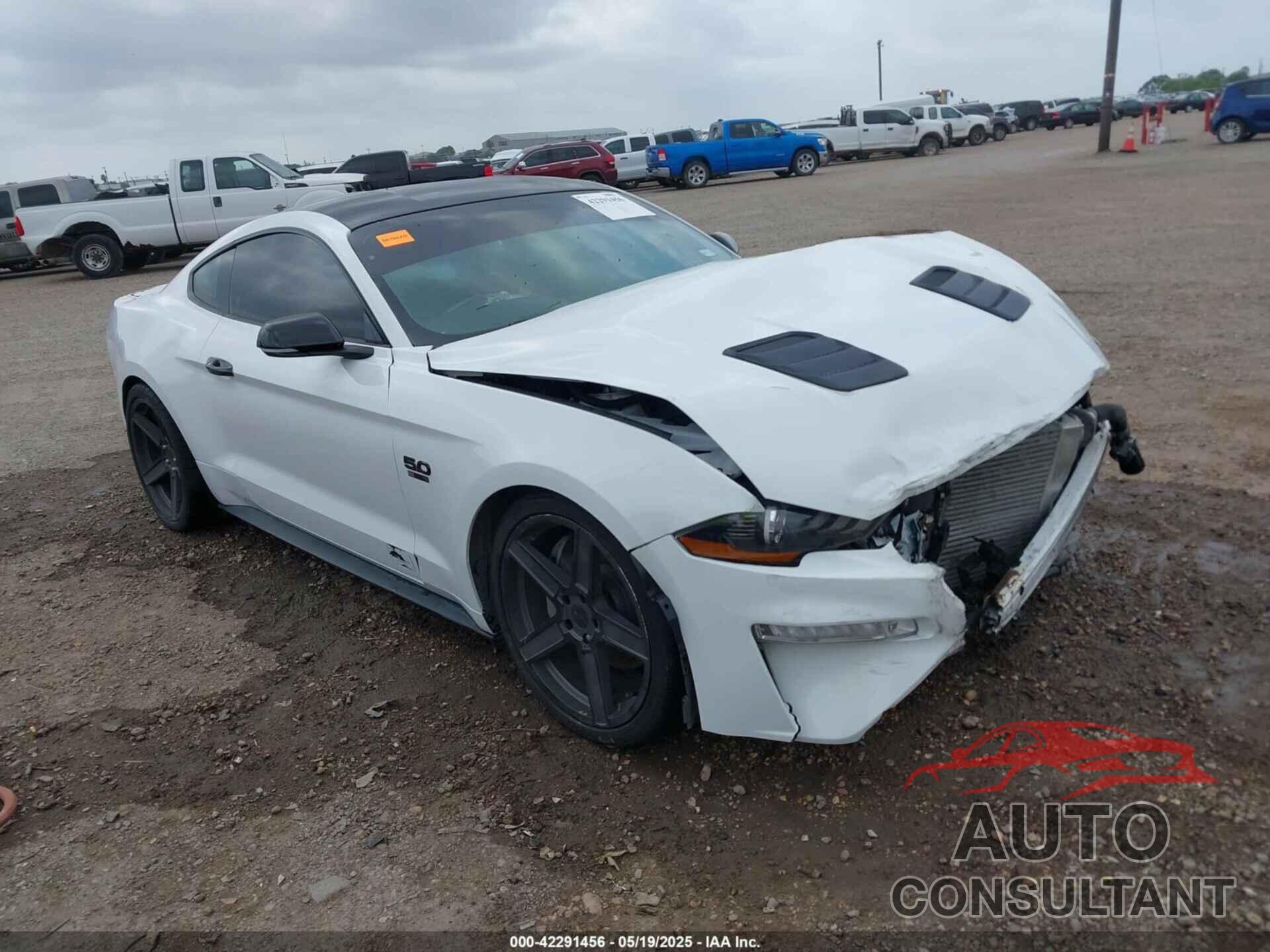 FORD MUSTANG 2019 - 1FA6P8CFXK5130996