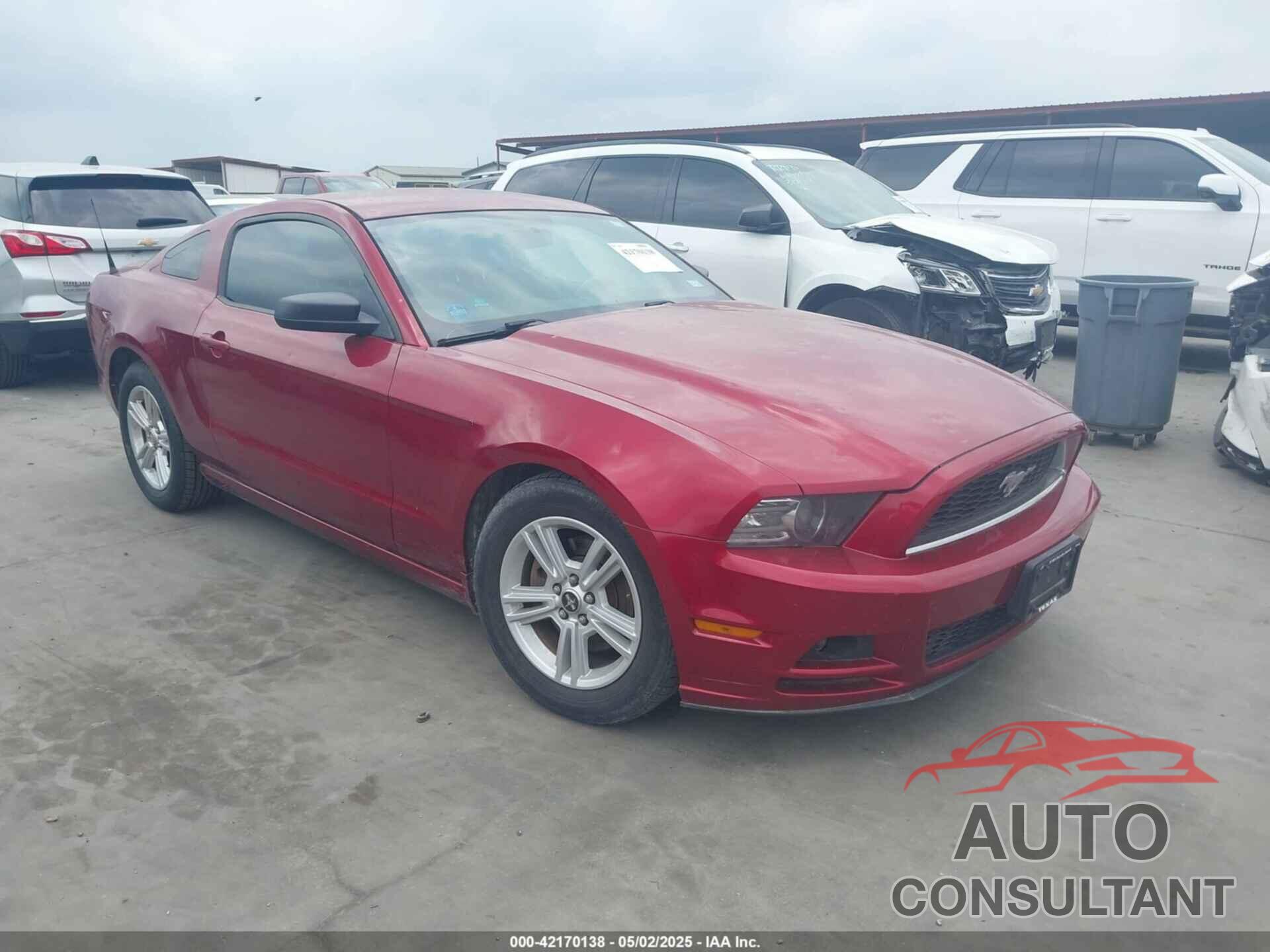 FORD MUSTANG 2014 - 1ZVBP8AM3E5332204