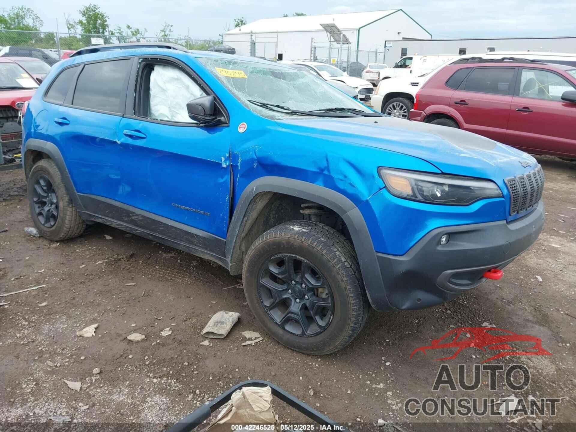 JEEP CHEROKEE 2019 - 1C4PJMBX3KD295295