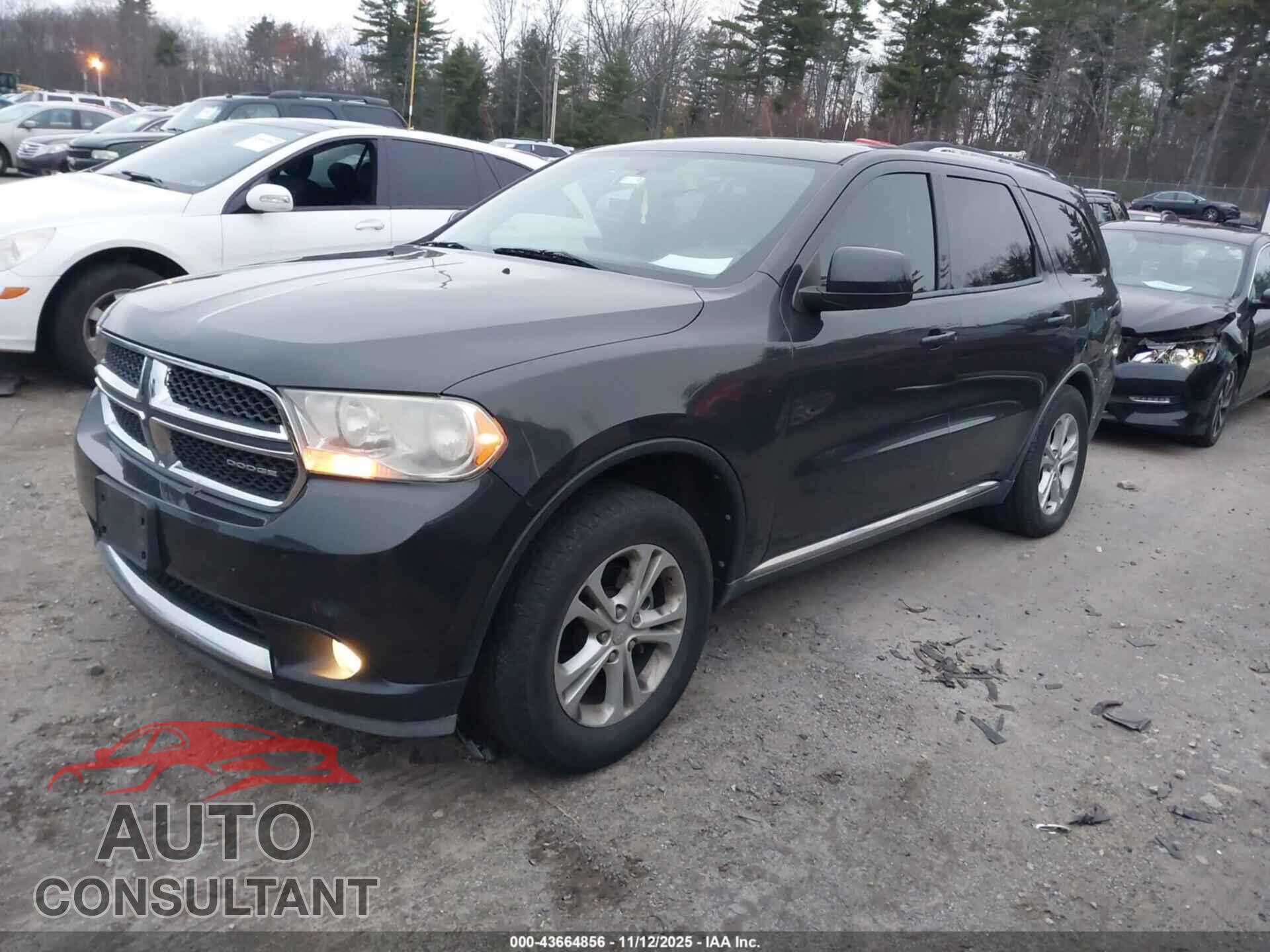 DODGE DURANGO 2011 - 1D4RE2GG9BC631163