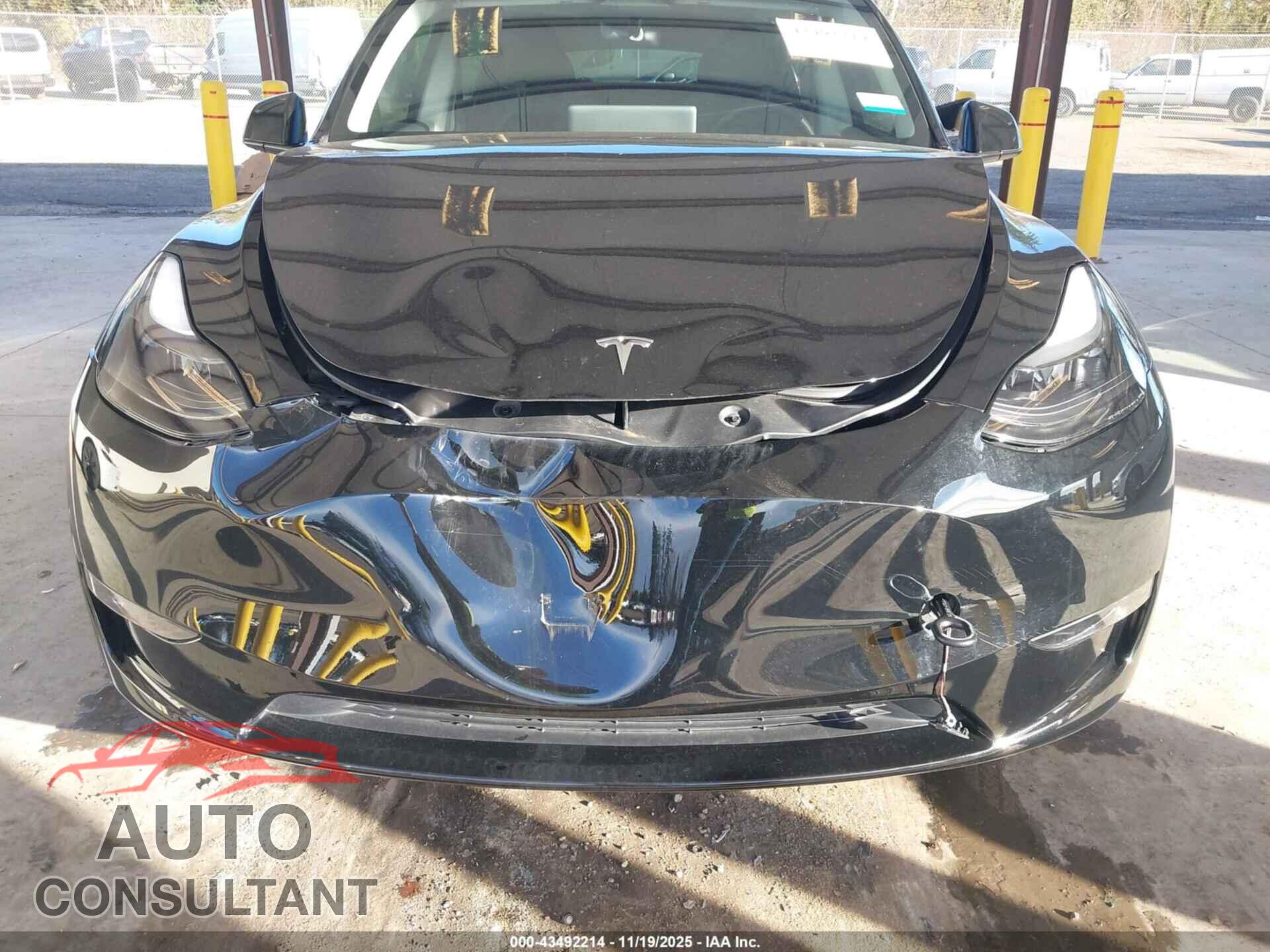 TESLA MODEL Y 2024 - 7SAYGAEE7RF185481