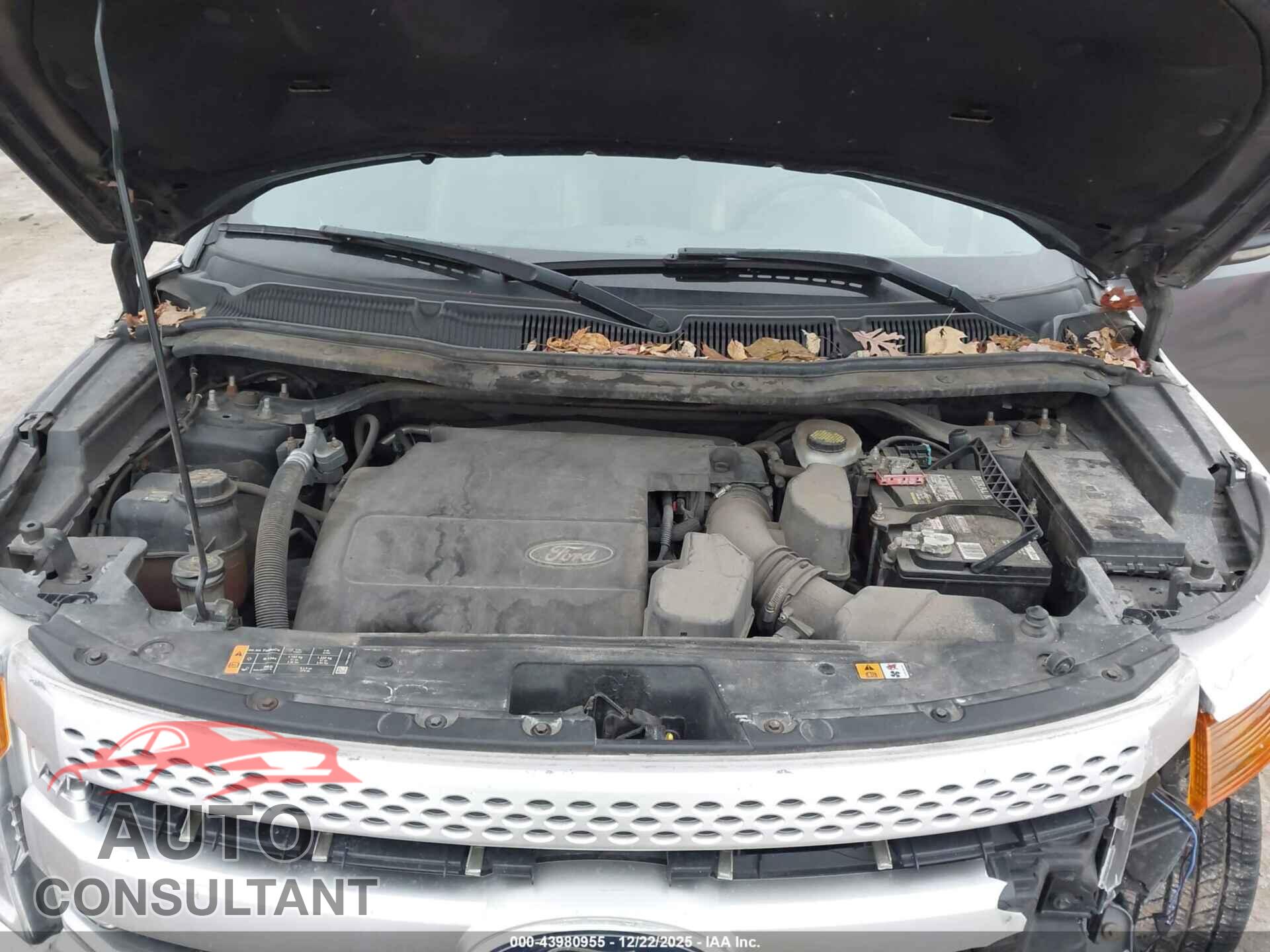 FORD EXPLORER 2013 - 1FM5K8D81DGB05458