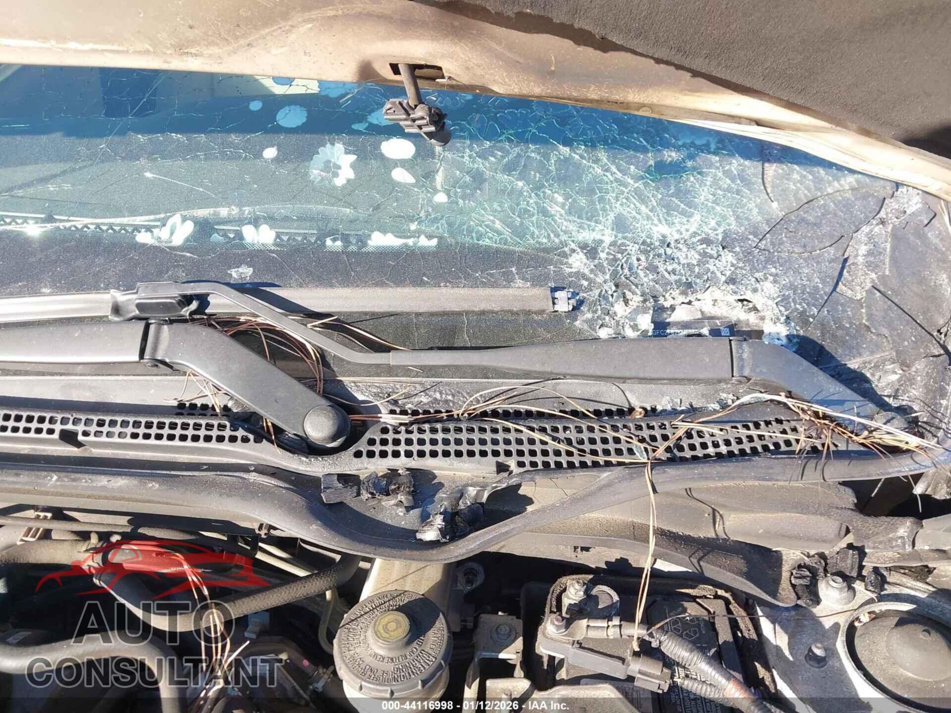 HONDA CIVIC 2019 - 2HGFC2F62KH597788