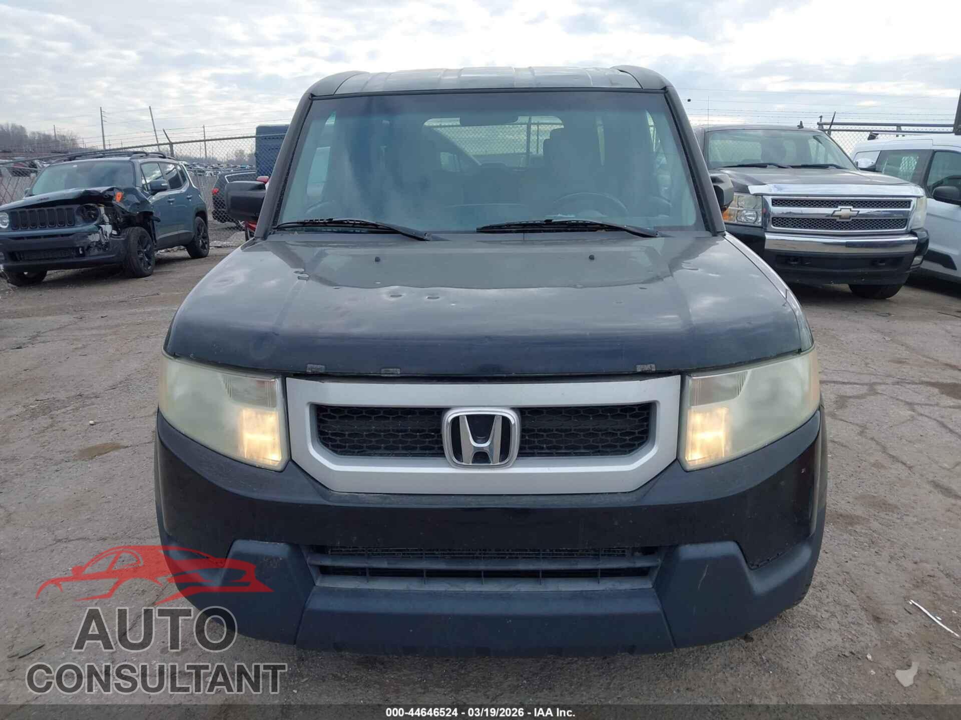 HONDA ELEMENT 2009 - 5J6YH18729L004690