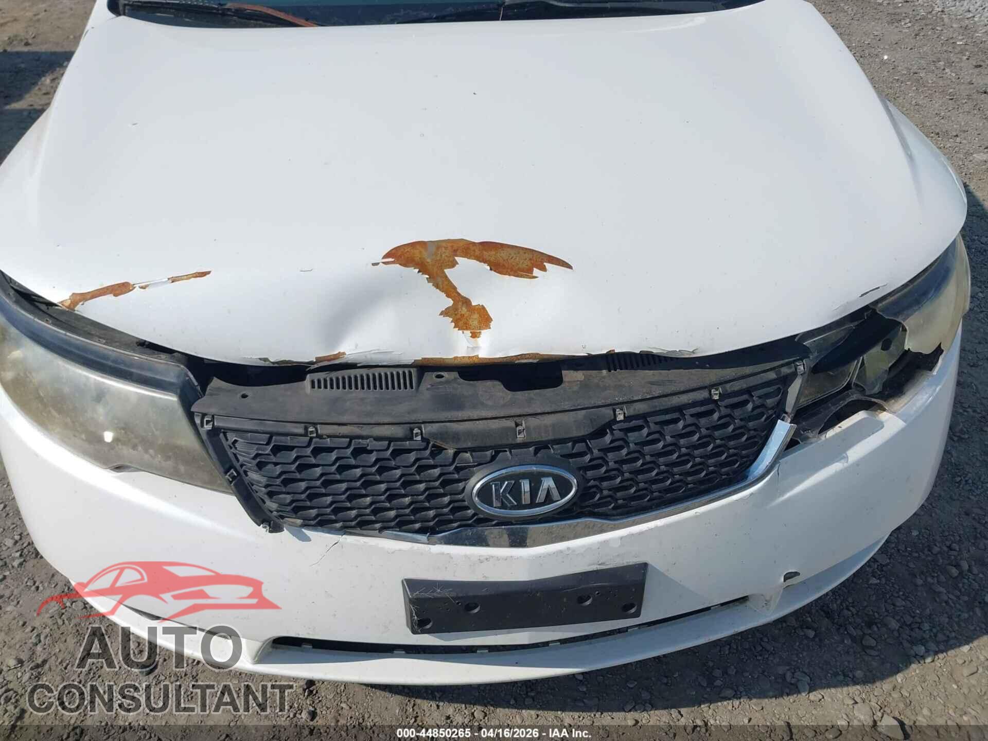 KIA FORTE 2011 - KNAFU4A2XB5454071