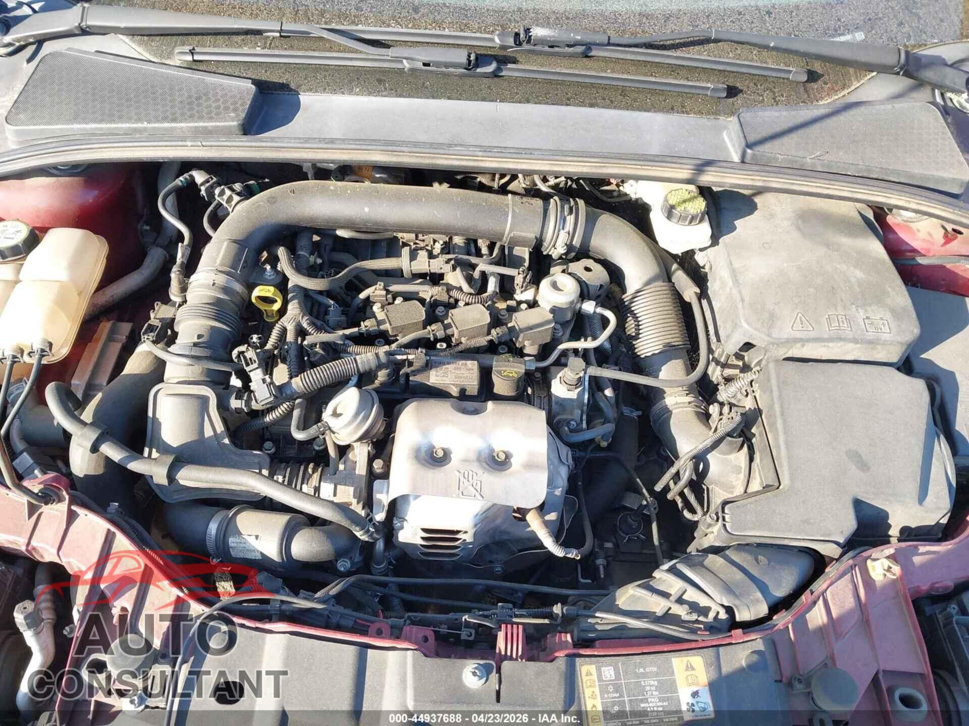 FORD FOCUS 2017 - 1FADP3FEXHL269981