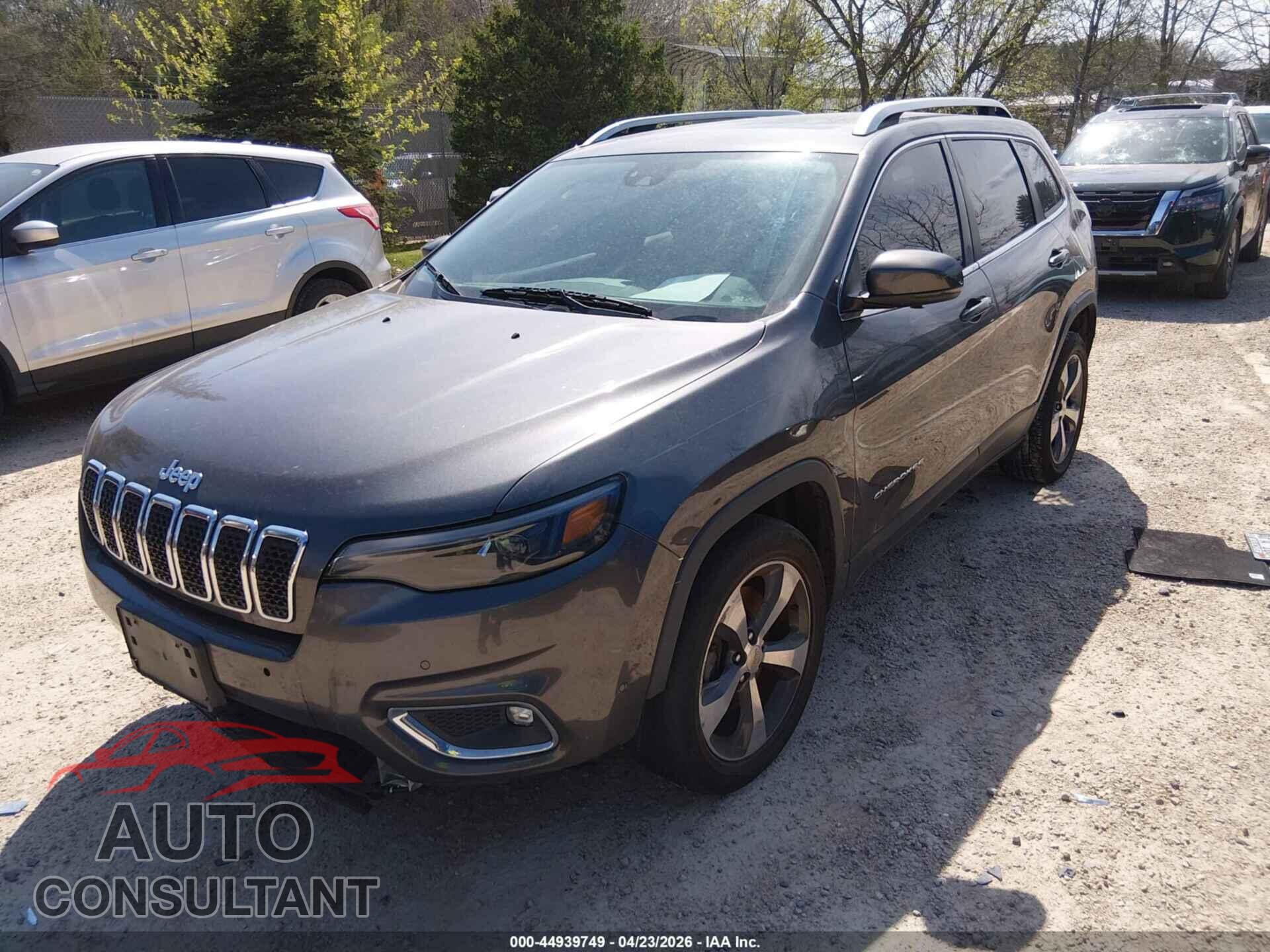 JEEP CHEROKEE 2019 - 1C4PJLDB9KD159488