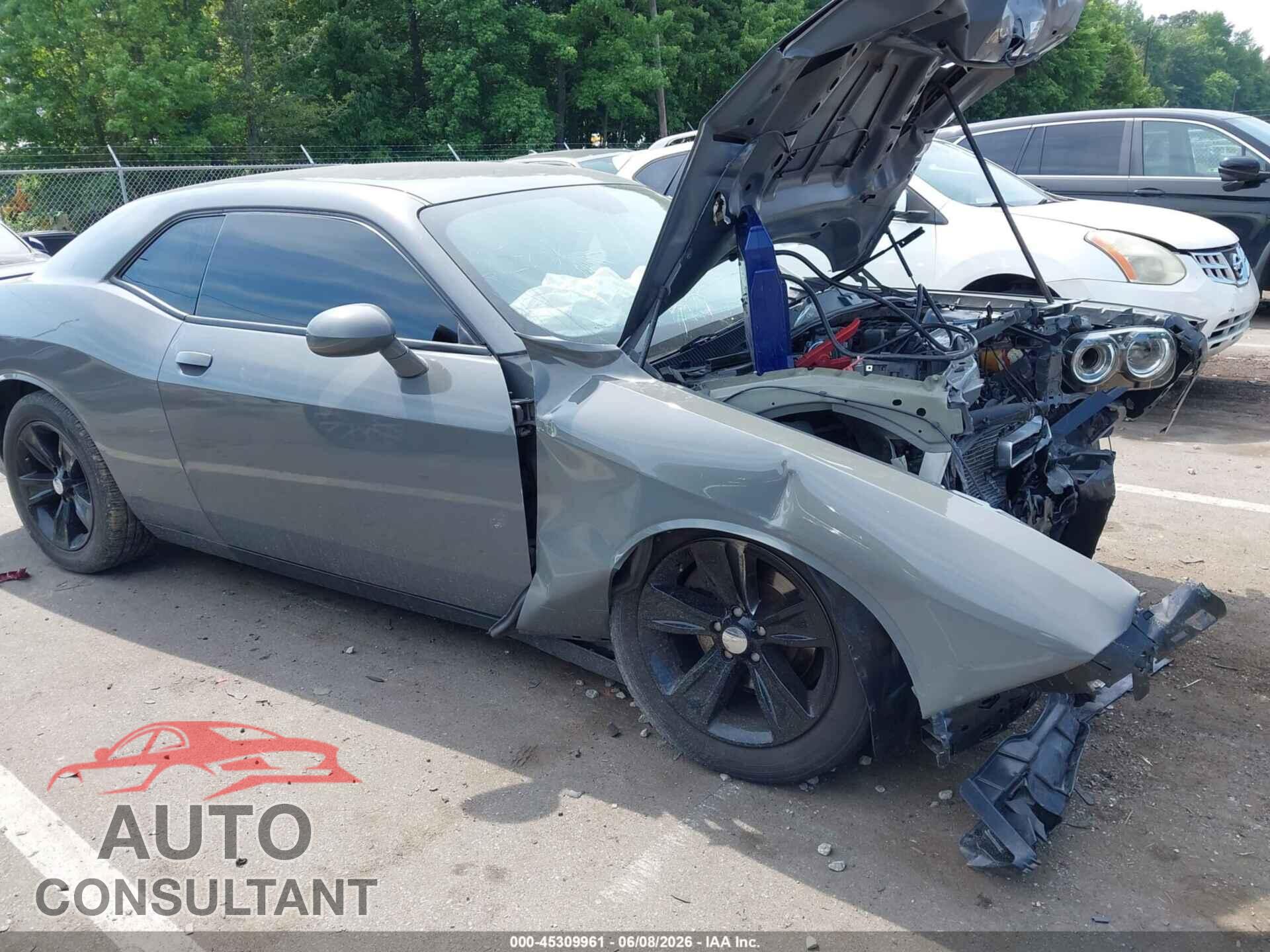 DODGE CHALLENGER 2019 - 2C3CDZAG3KH616215