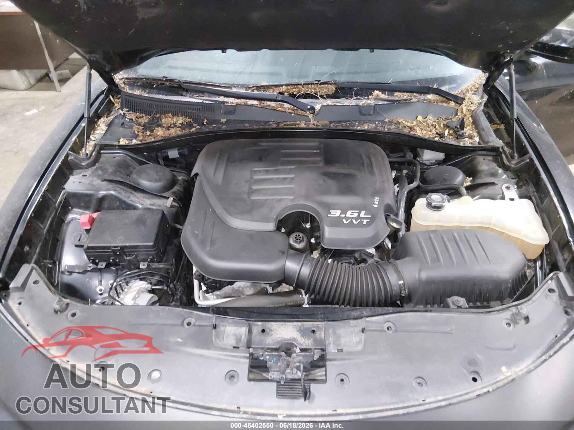 DODGE CHARGER 2019 - 2C3CDXBGXKH581904