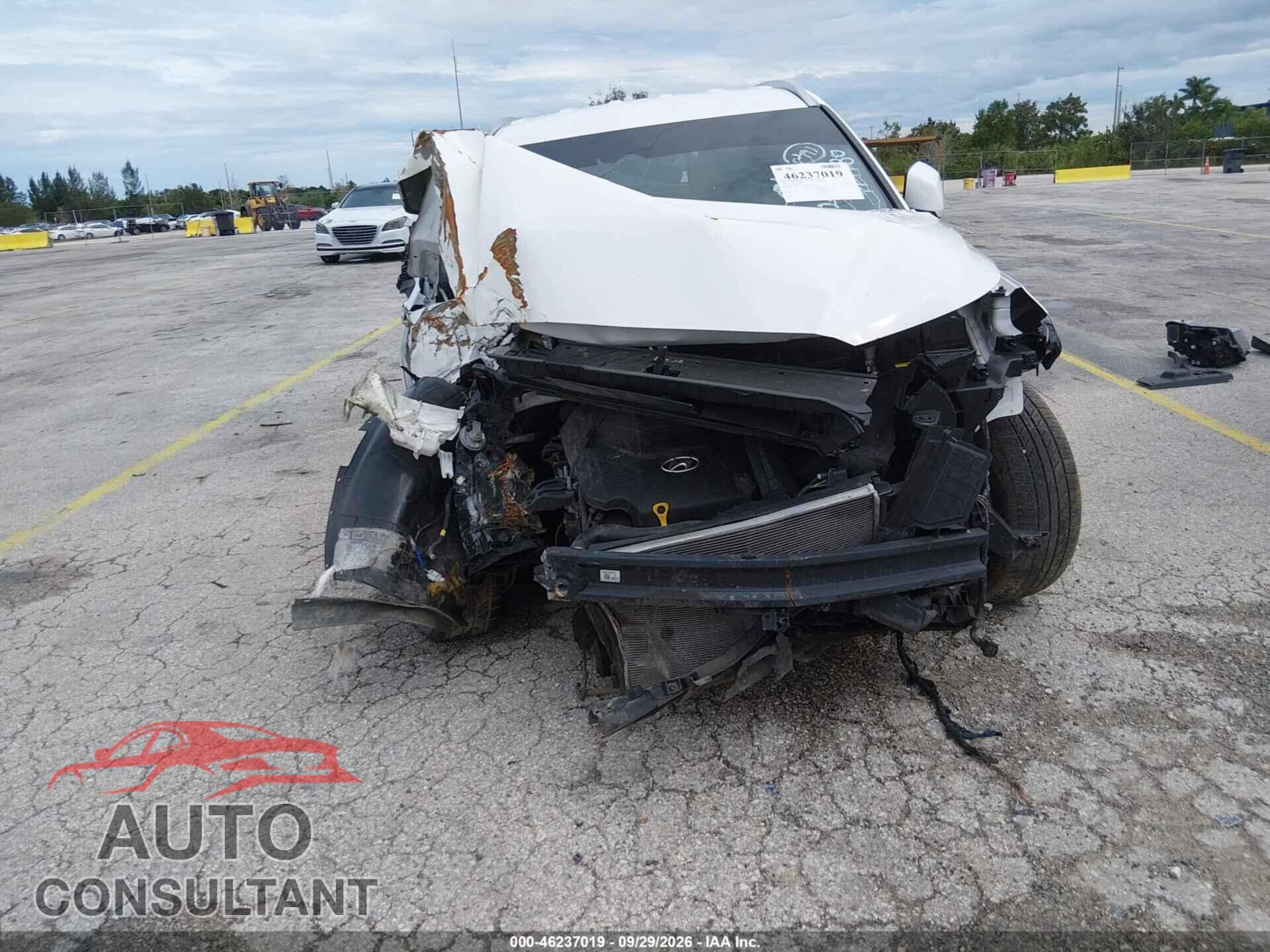 HYUNDAI PALISADE 2024 - KM8R2DGEXRU714780