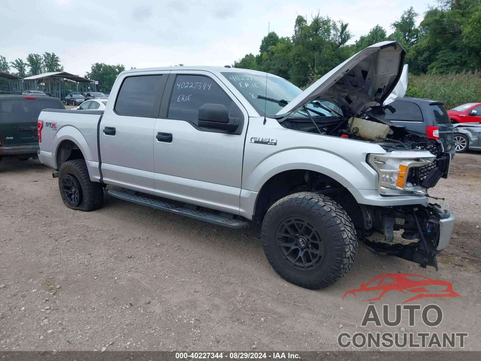 FORD F-150 2019 - 1FTEW1EP7KFB59632