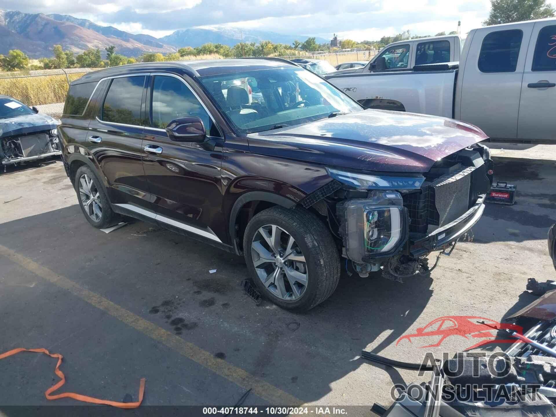 HYUNDAI PALISADE 2020 - KM8R4DHE2LU039751