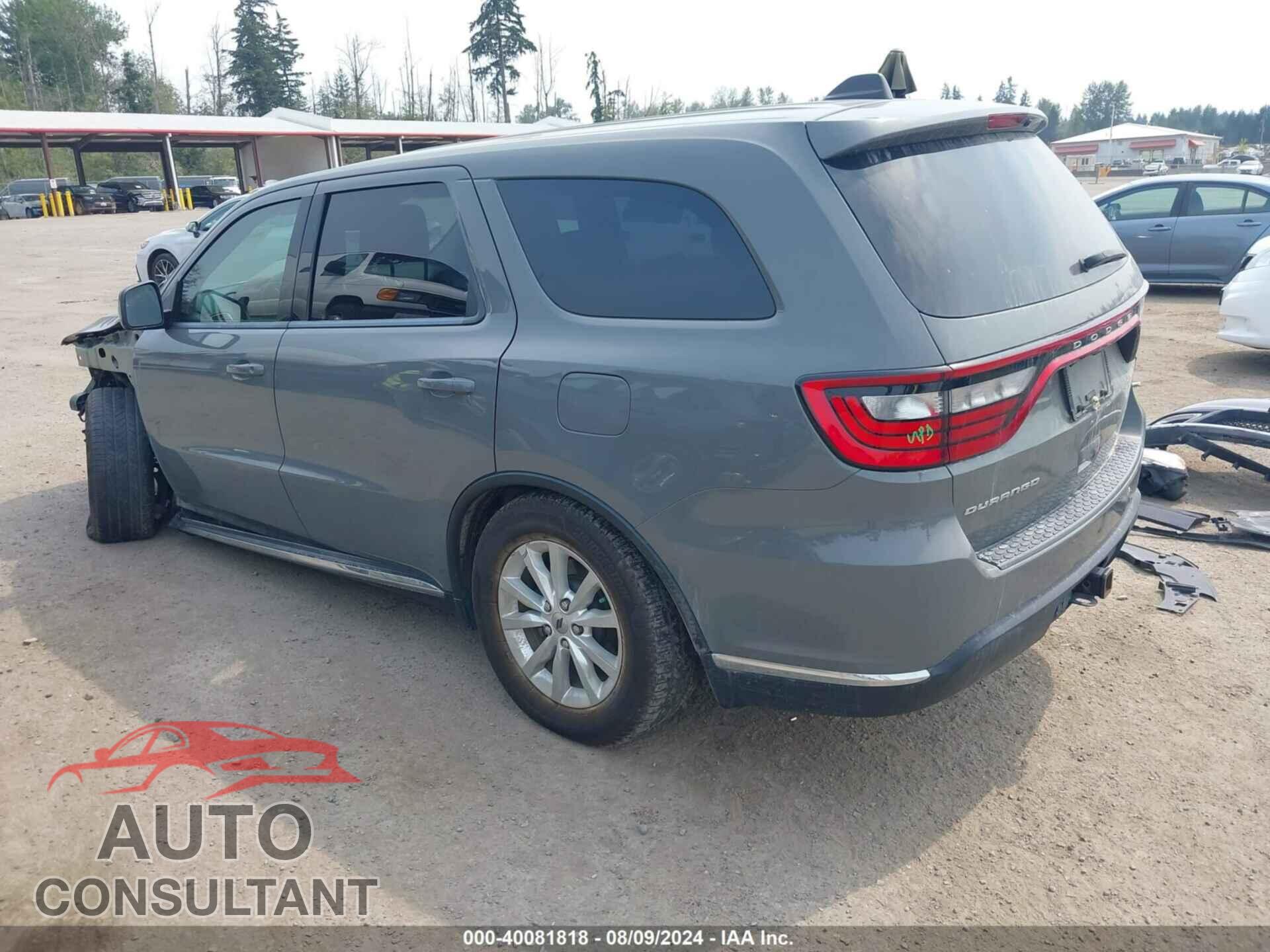 DODGE DURANGO 2019 - 1C4RDHAG7KC604748