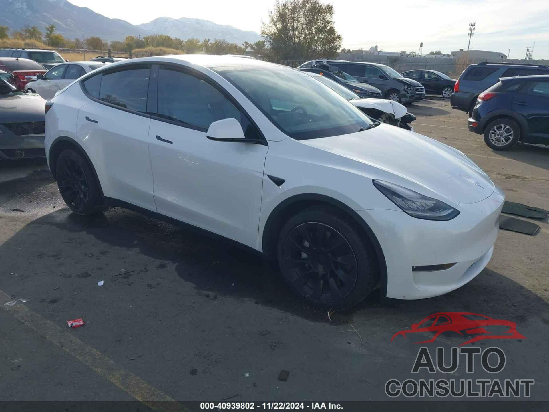 TESLA MODEL Y 2021 - 5YJYGDEE3MF098586