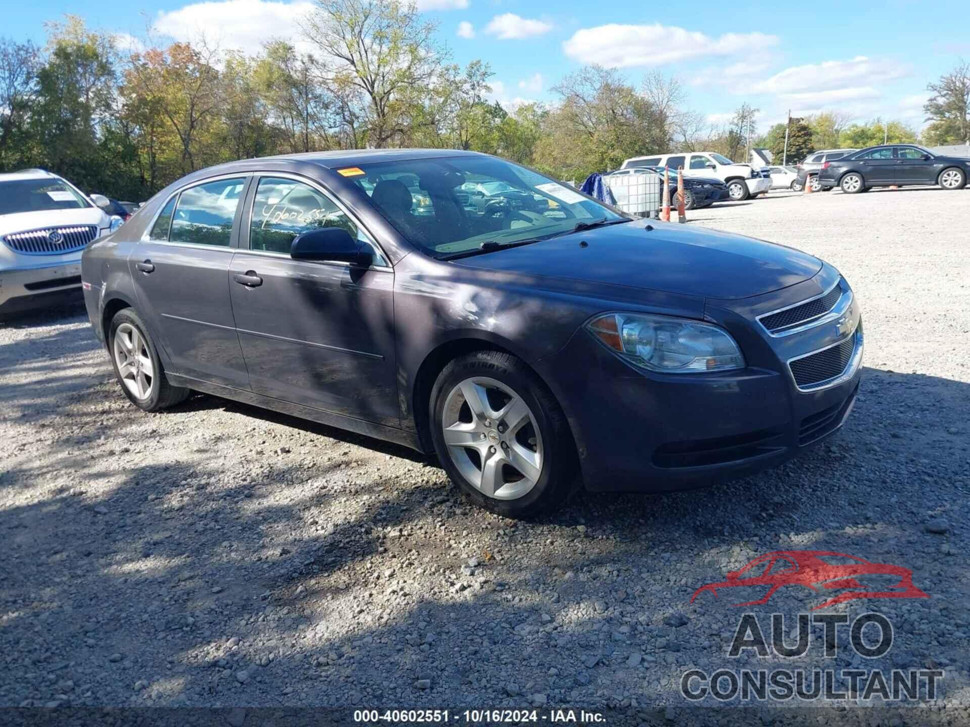 CHEVROLET MALIBU 2010 - 1G1ZB5EB0AF224711