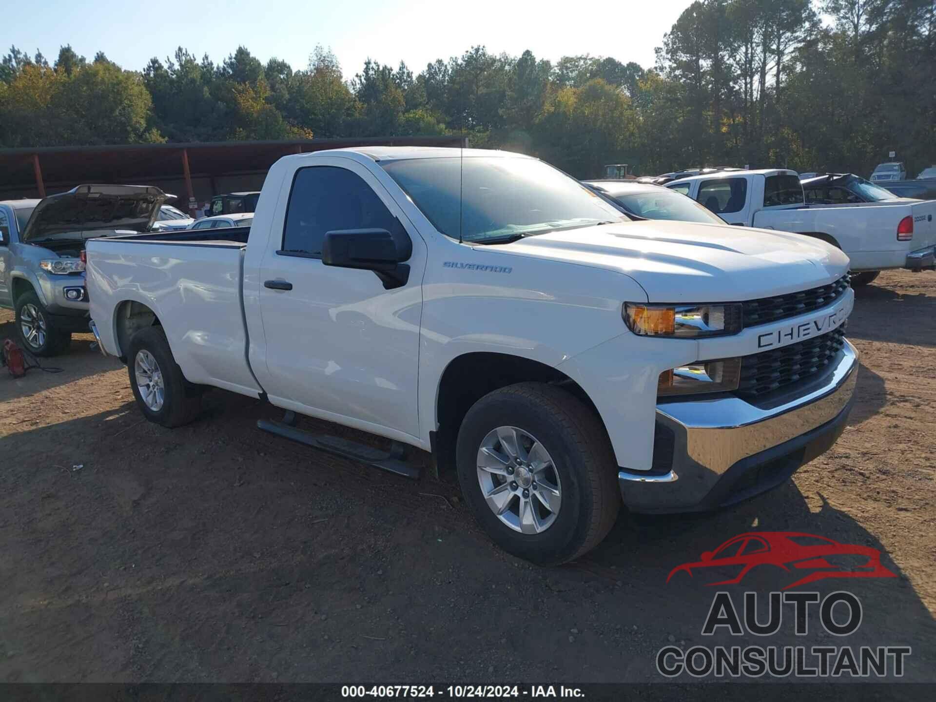 CHEVROLET SILVERADO 1500 2019 - 3GCNWAEF3KG283466