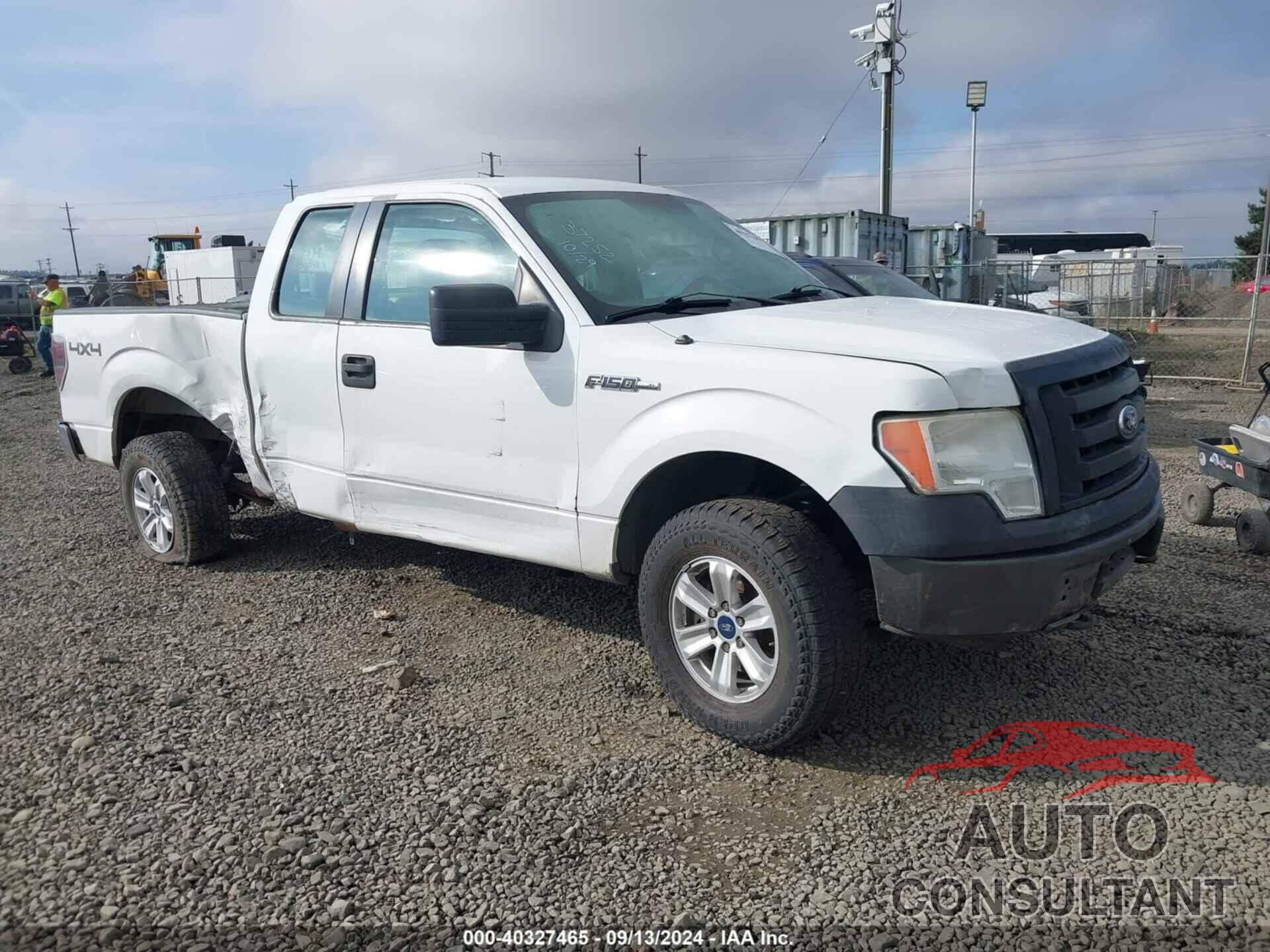 FORD F-150 2009 - 1FTRX14W59KC73122