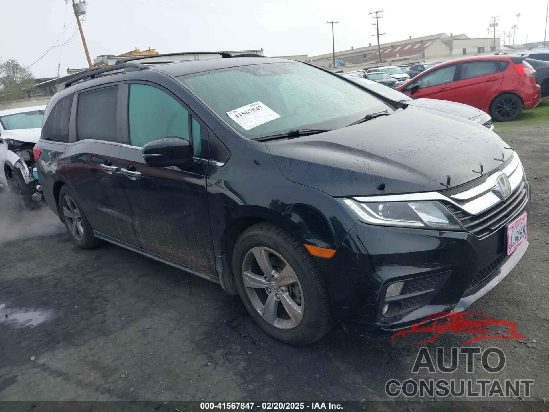 HONDA ODYSSEY 2019 - 5FNRL6H77KB081683