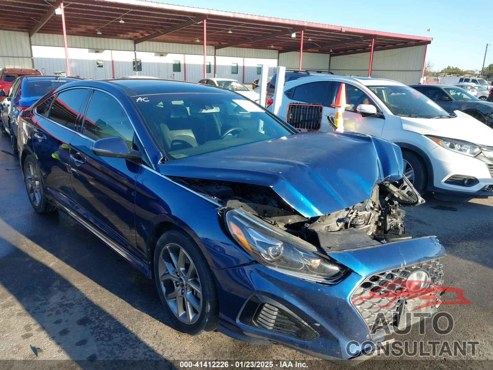 HYUNDAI SONATA 2019 - 5NPE34AB9KH763239
