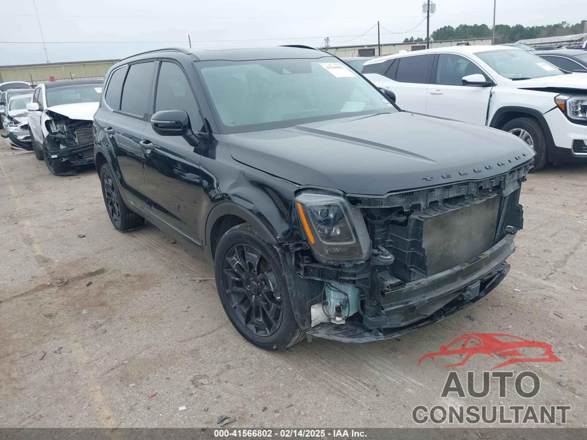 KIA TELLURIDE 2021 - 5XYP3DHC0MG103186
