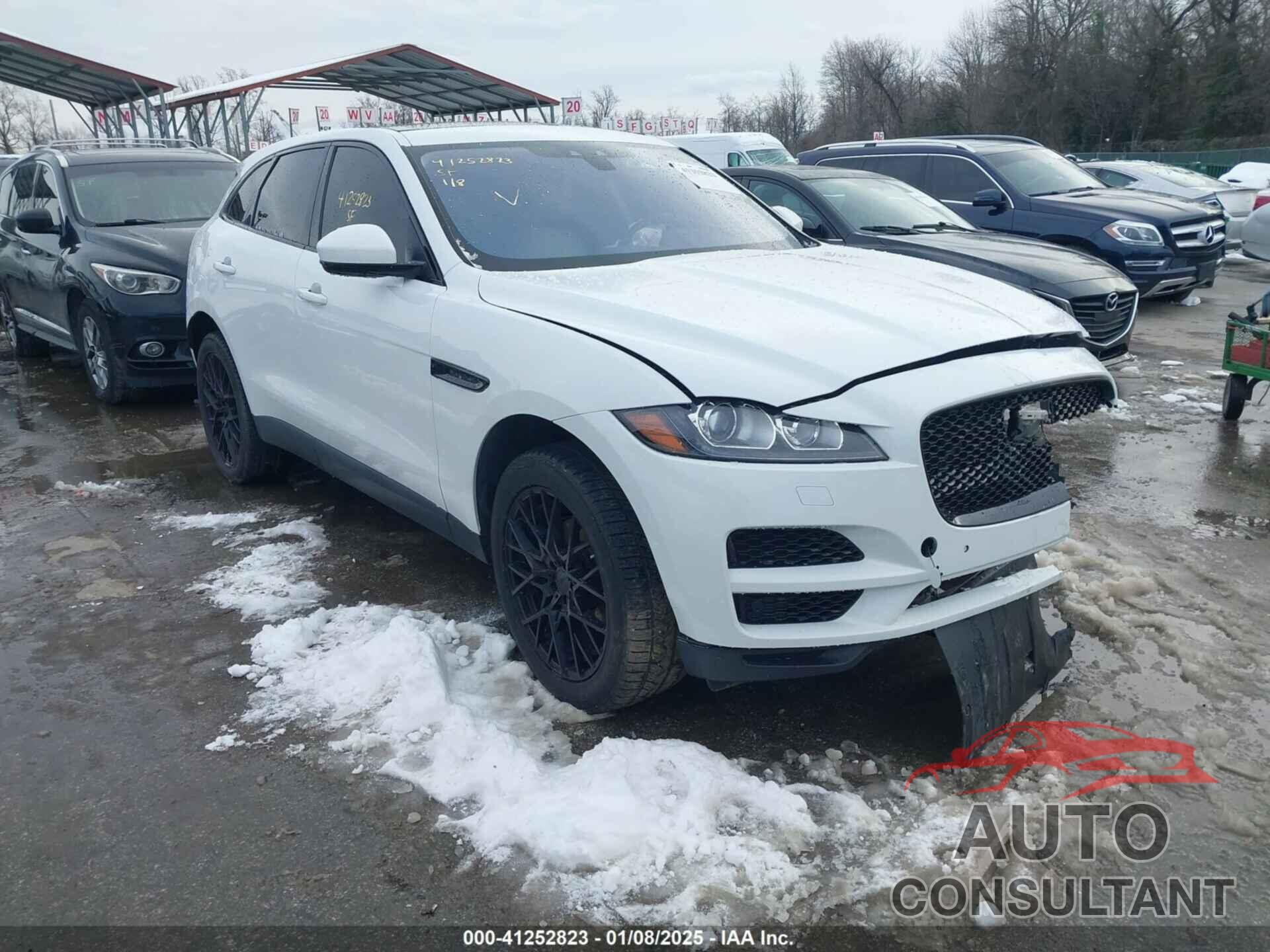 JAGUAR F-PACE 2019 - SADCK2FX2KA358483