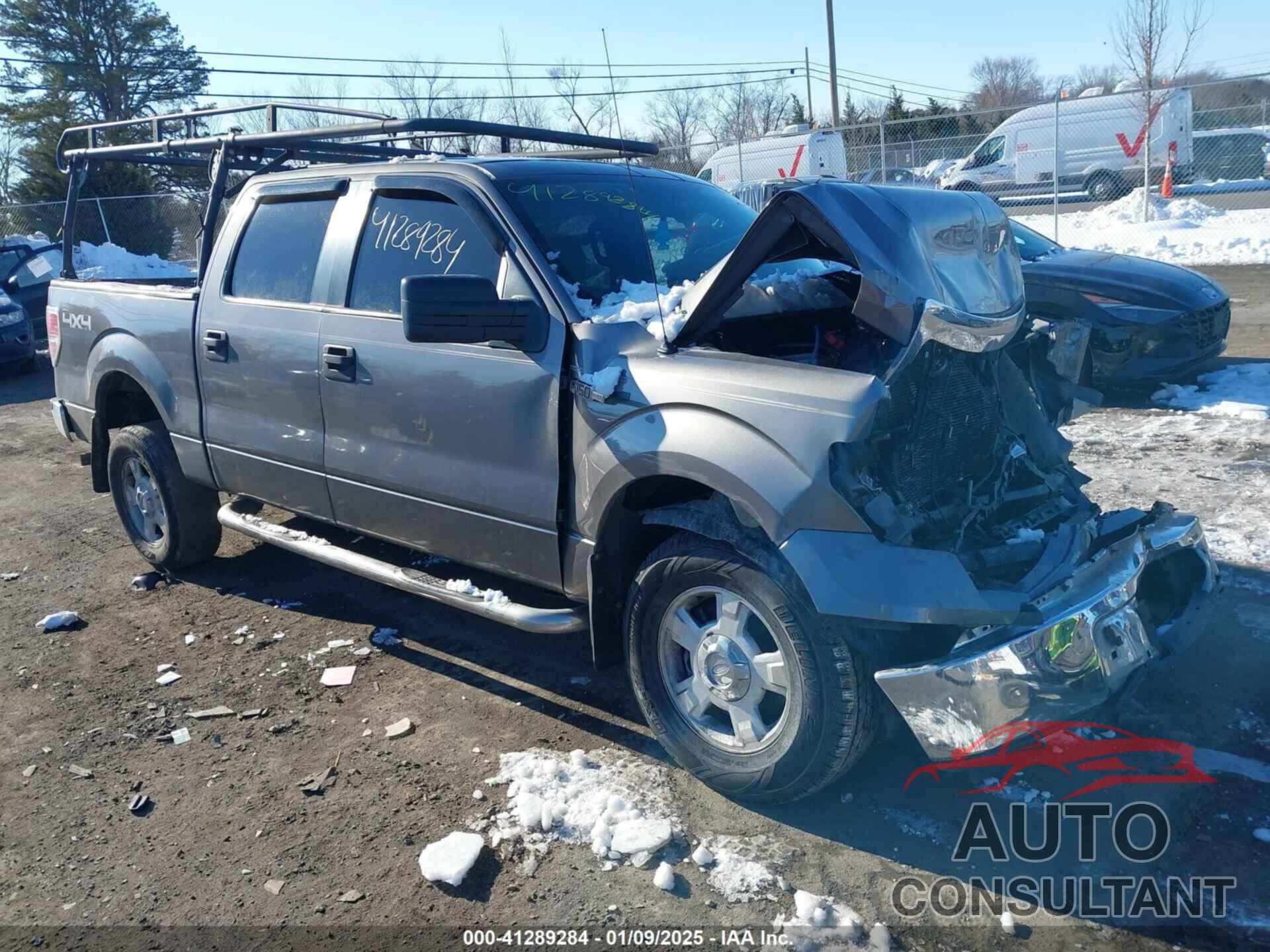 FORD F-150 2010 - 1FTEW1E86AFC36899