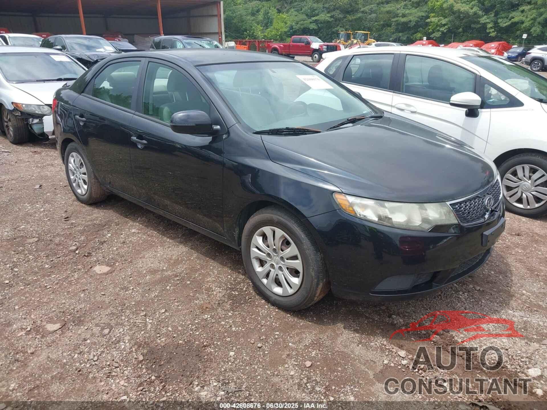 KIA FORTE 2011 - KNAFU4A2XB5419241