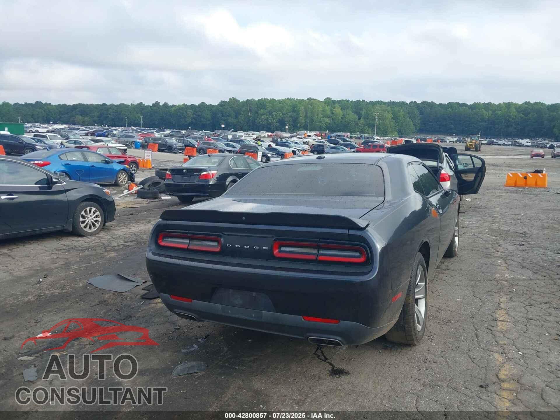DODGE CHALLENGER 2019 - 2C3CDZAG9KH531752