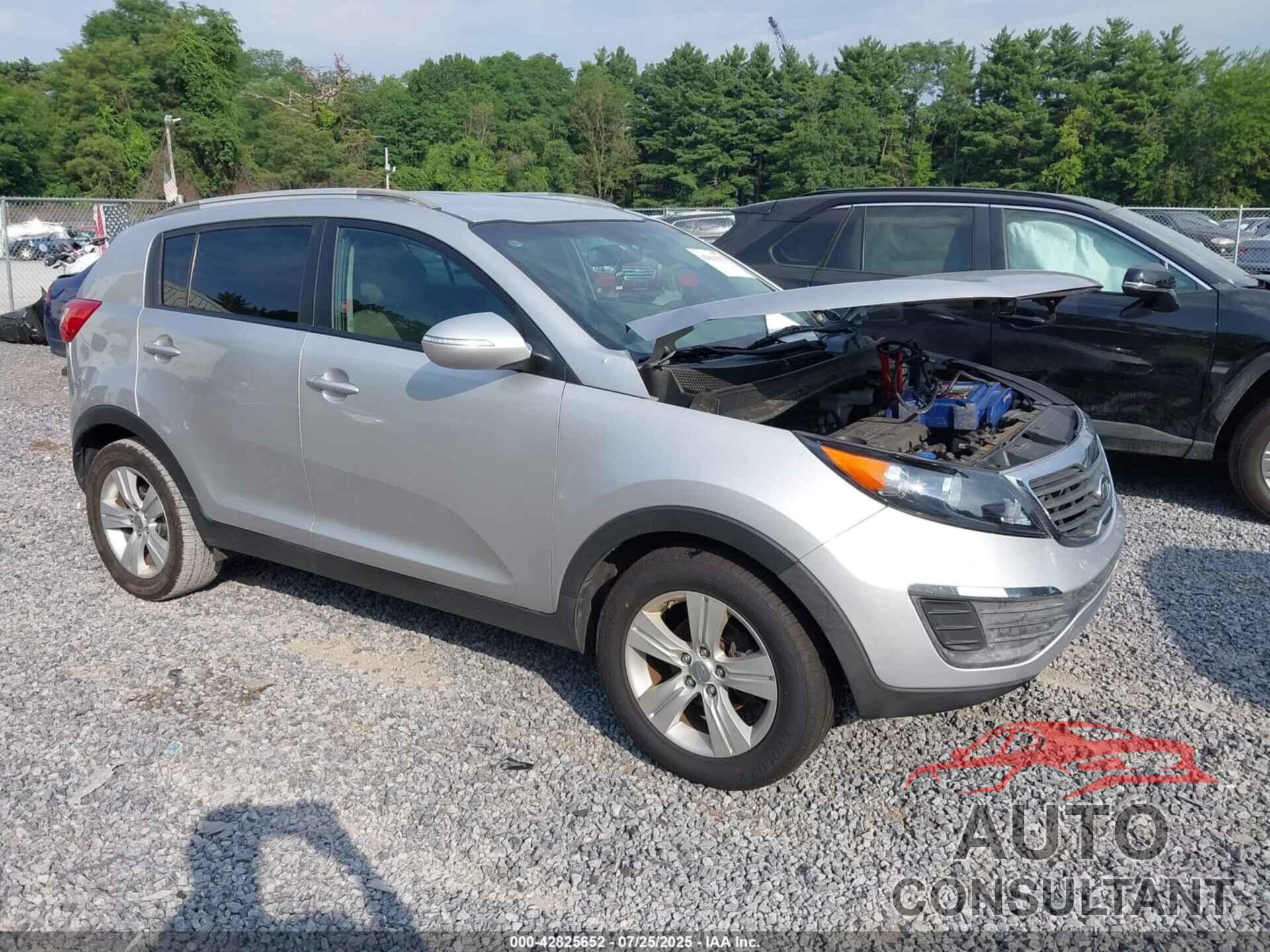KIA SPORTAGE 2011 - KNDPB3A20B7135306