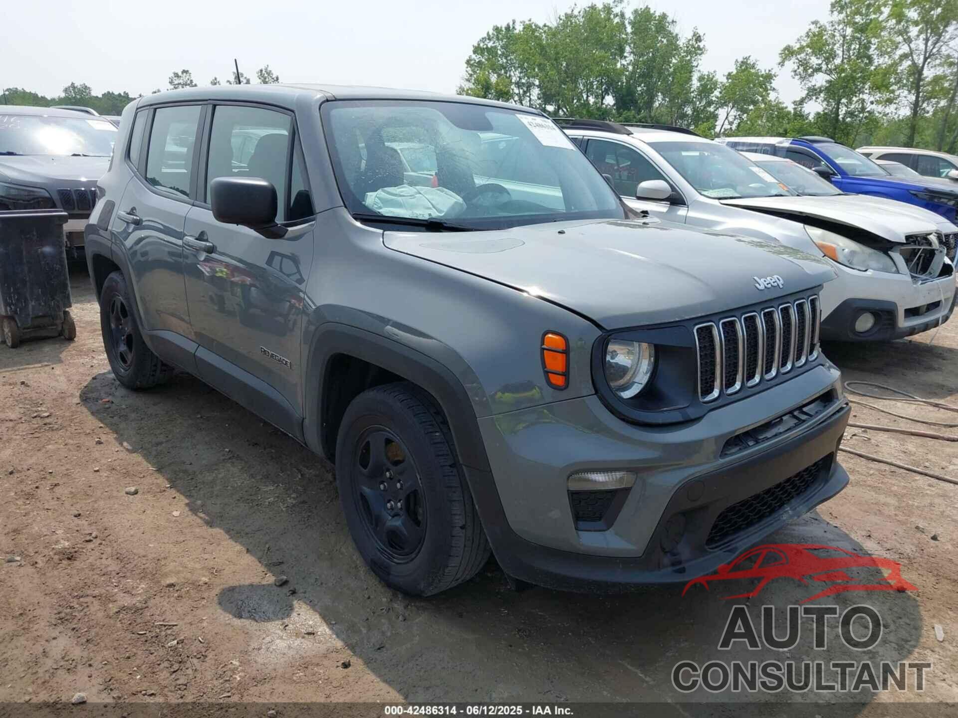 JEEP RENEGADE 2020 - ZACNJAAB9LPL03220