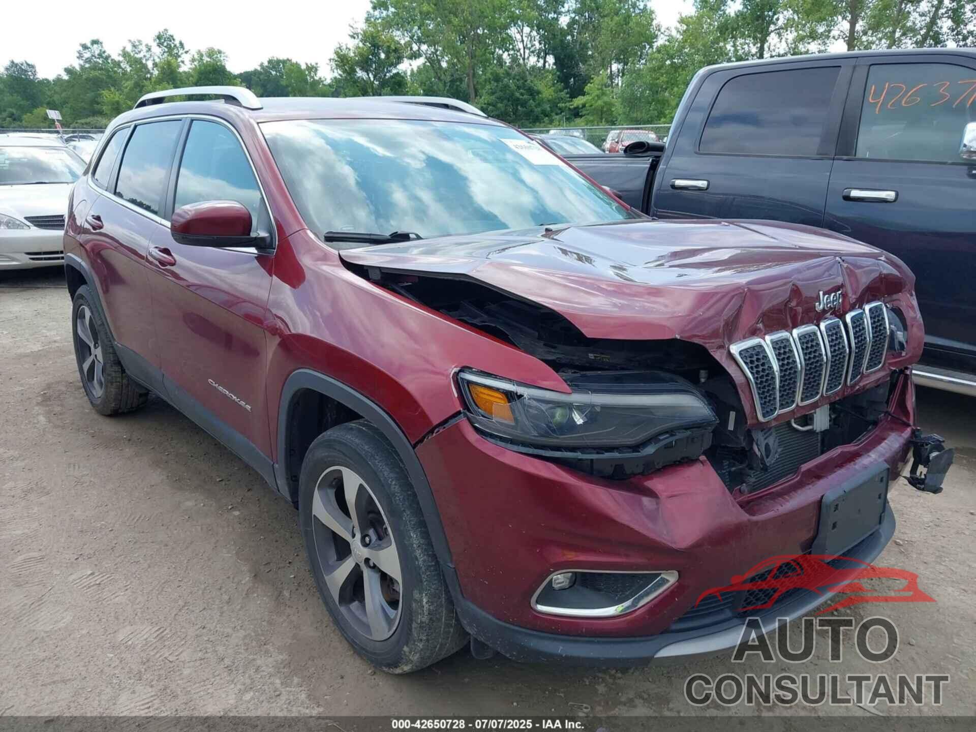 JEEP CHEROKEE 2019 - 1C4PJMDN0KD209386